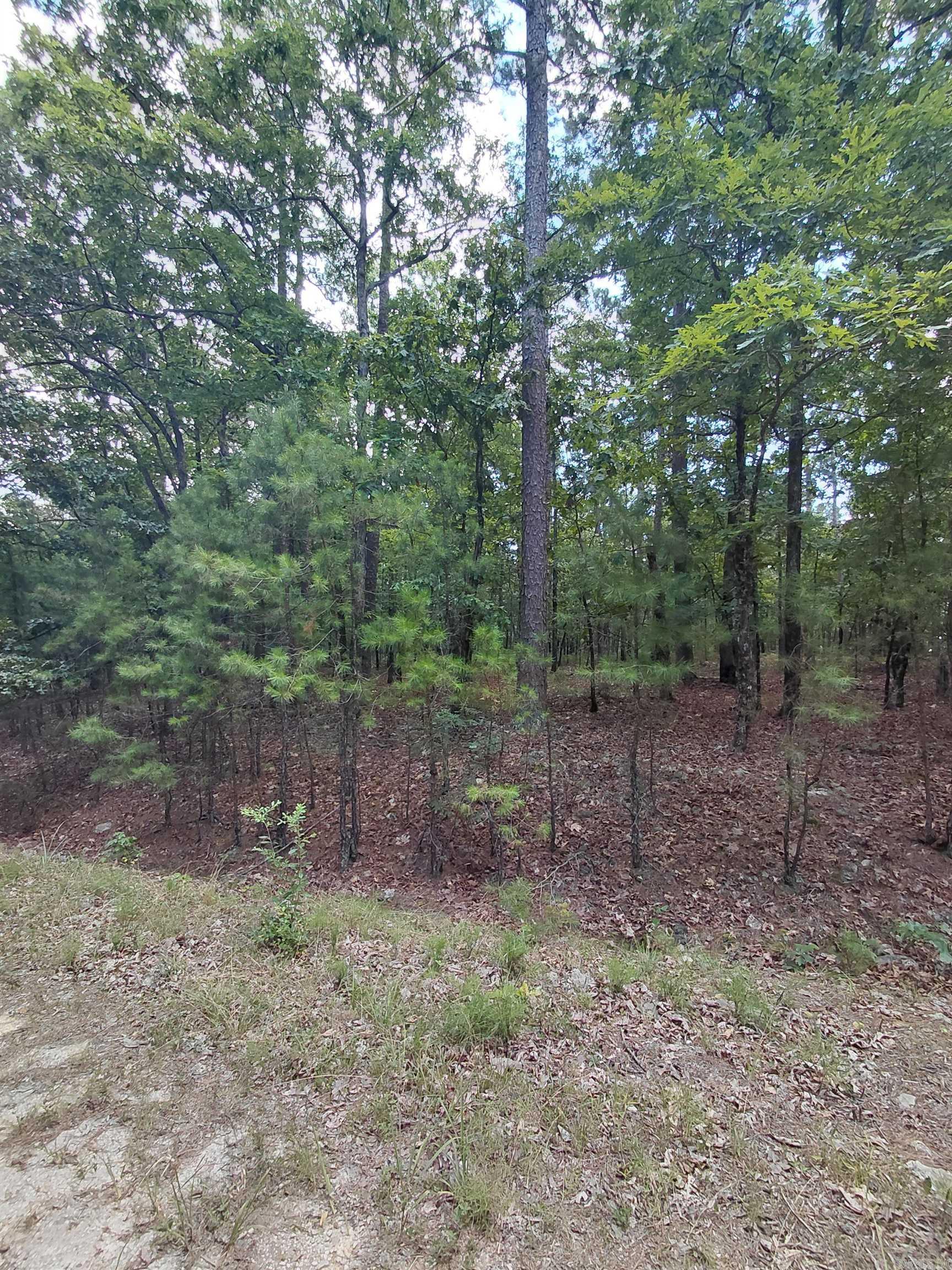 9 Estepa Circle Property Photo 2