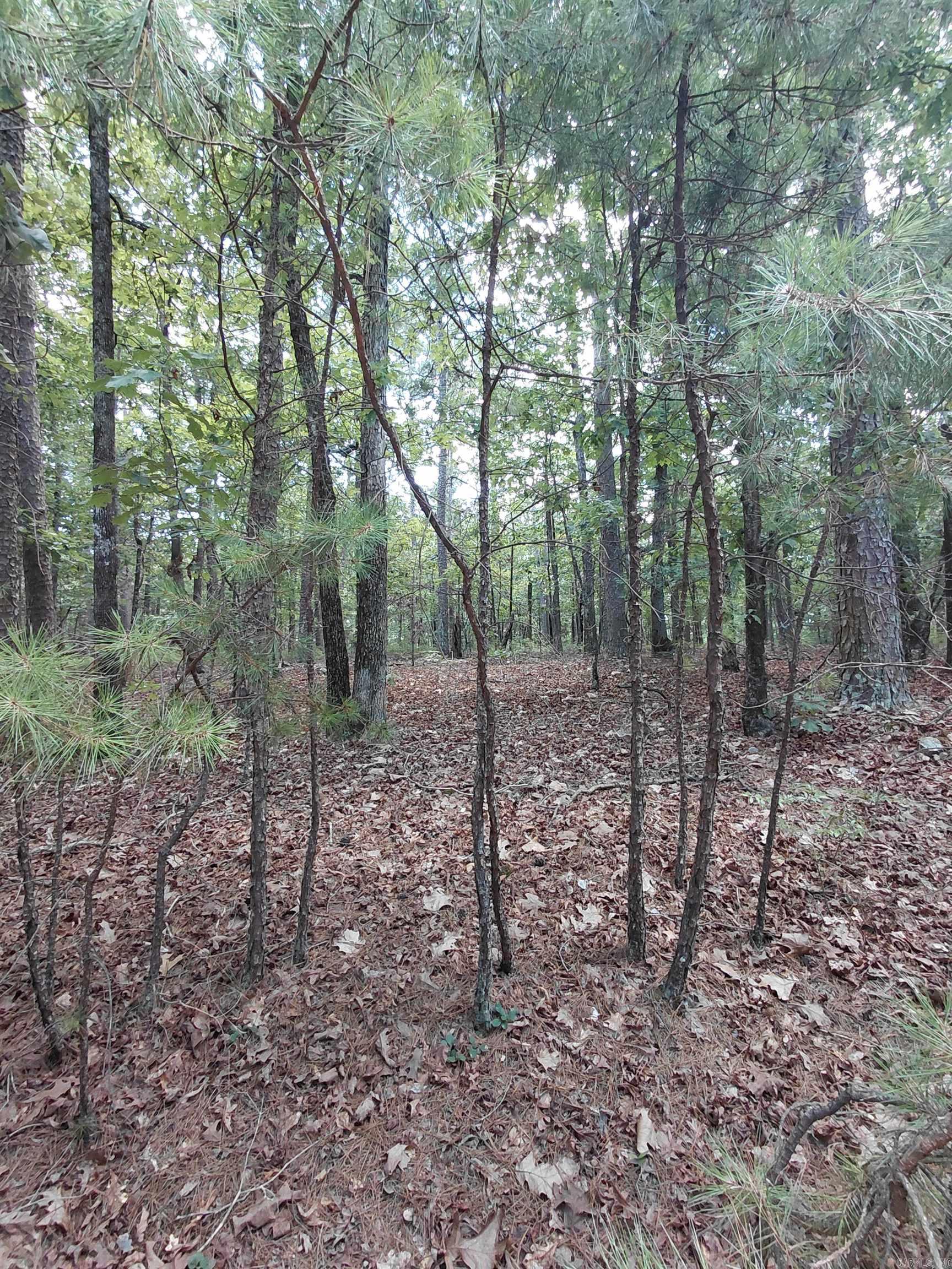 9 Estepa Circle Property Photo 3