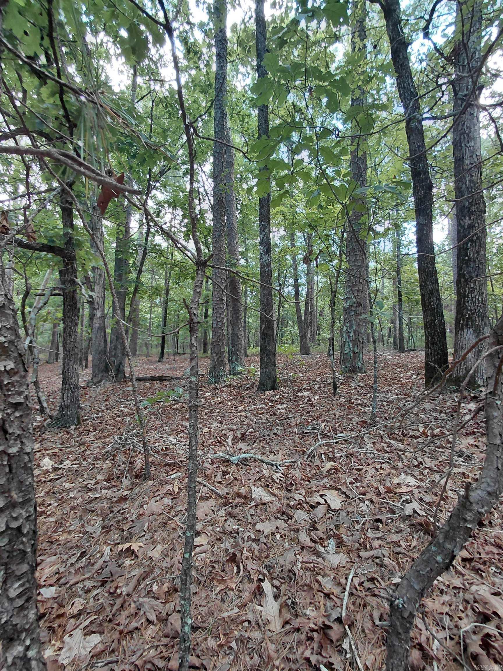 9 Estepa Circle Property Photo 4