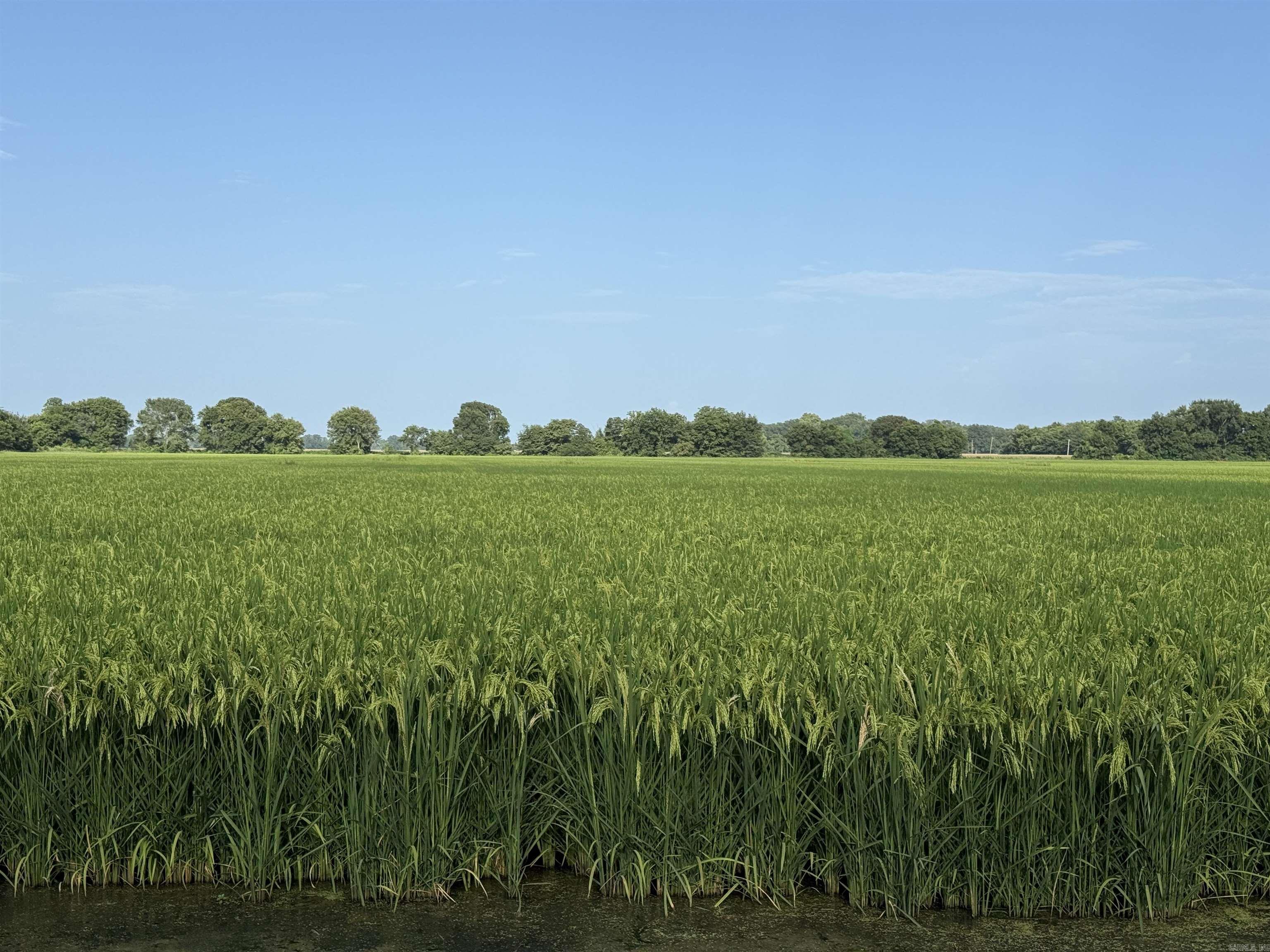 000 Bear Skin Lake Rd. Property Photo 31