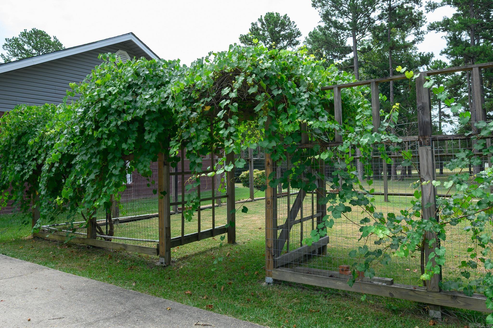 2707 Highway 88 Property Photo 7