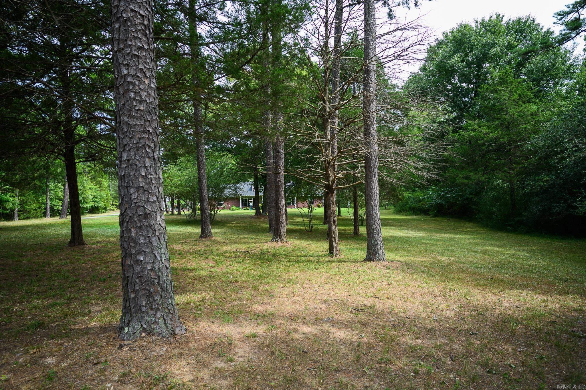2707 Highway 88 Property Photo 8