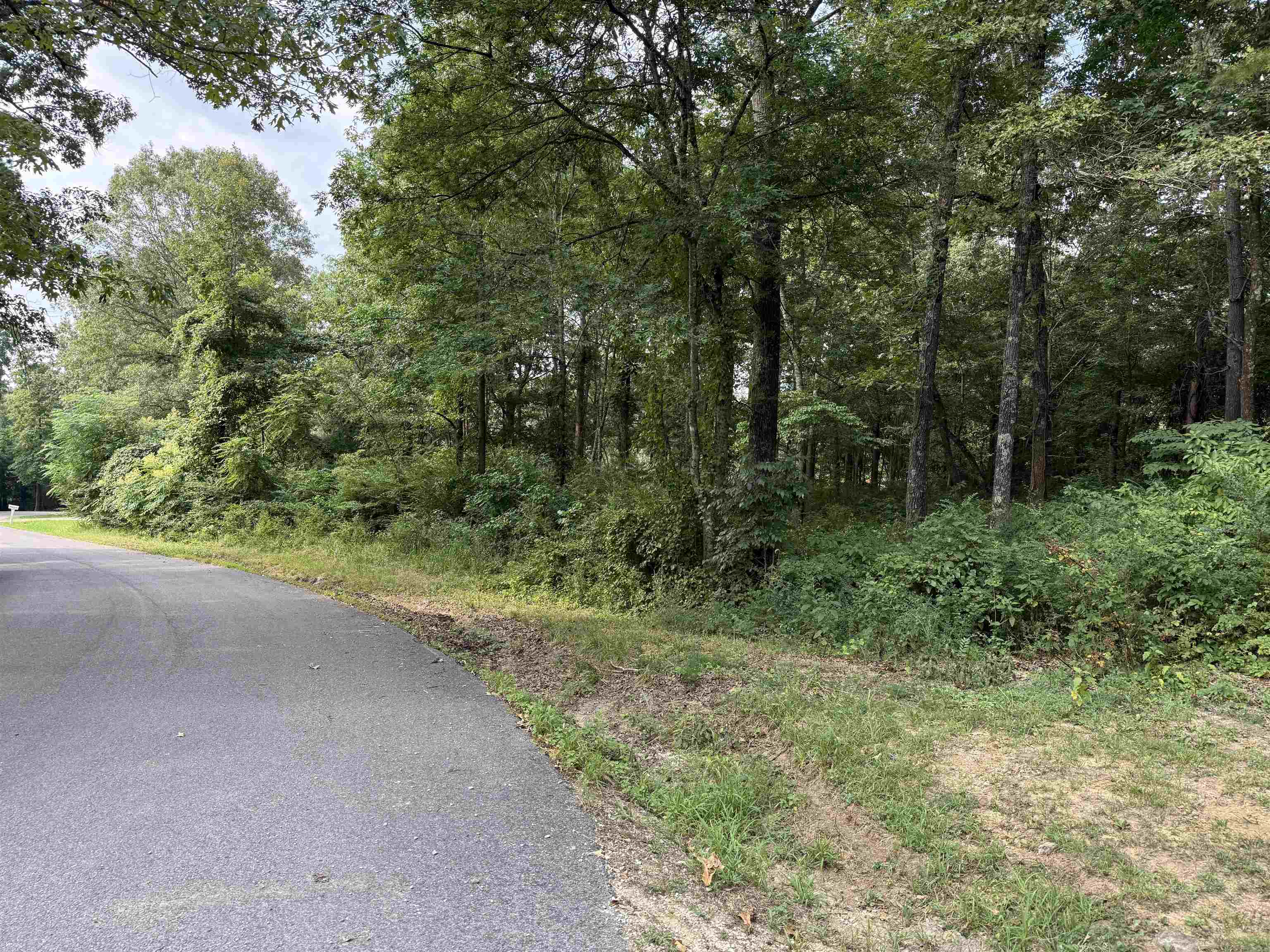 16 Camp Road Property Photo 2