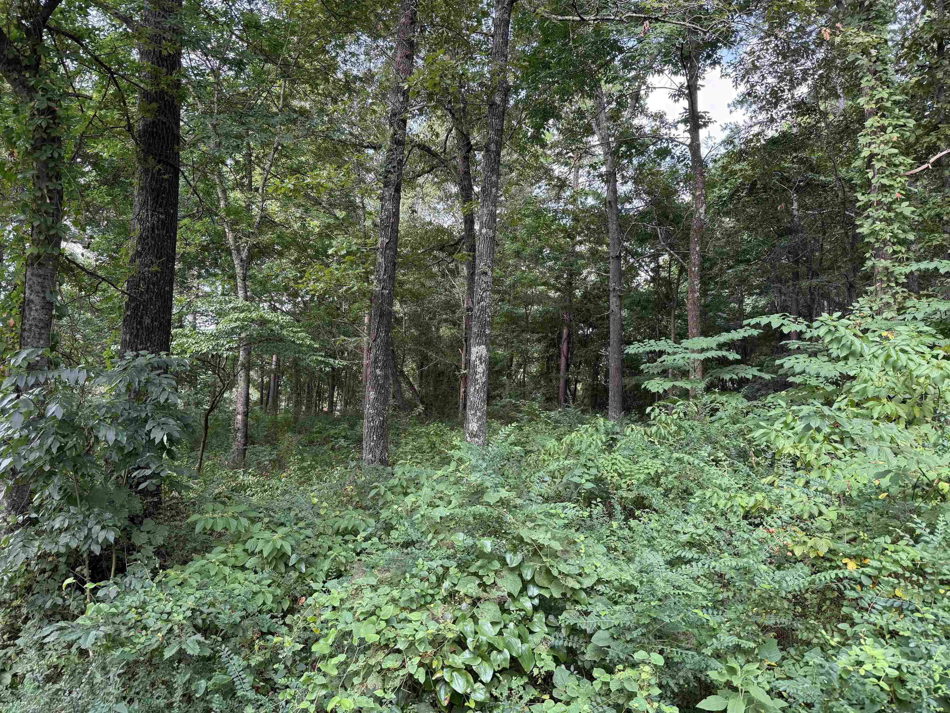 16 Camp Road Property Photo 3