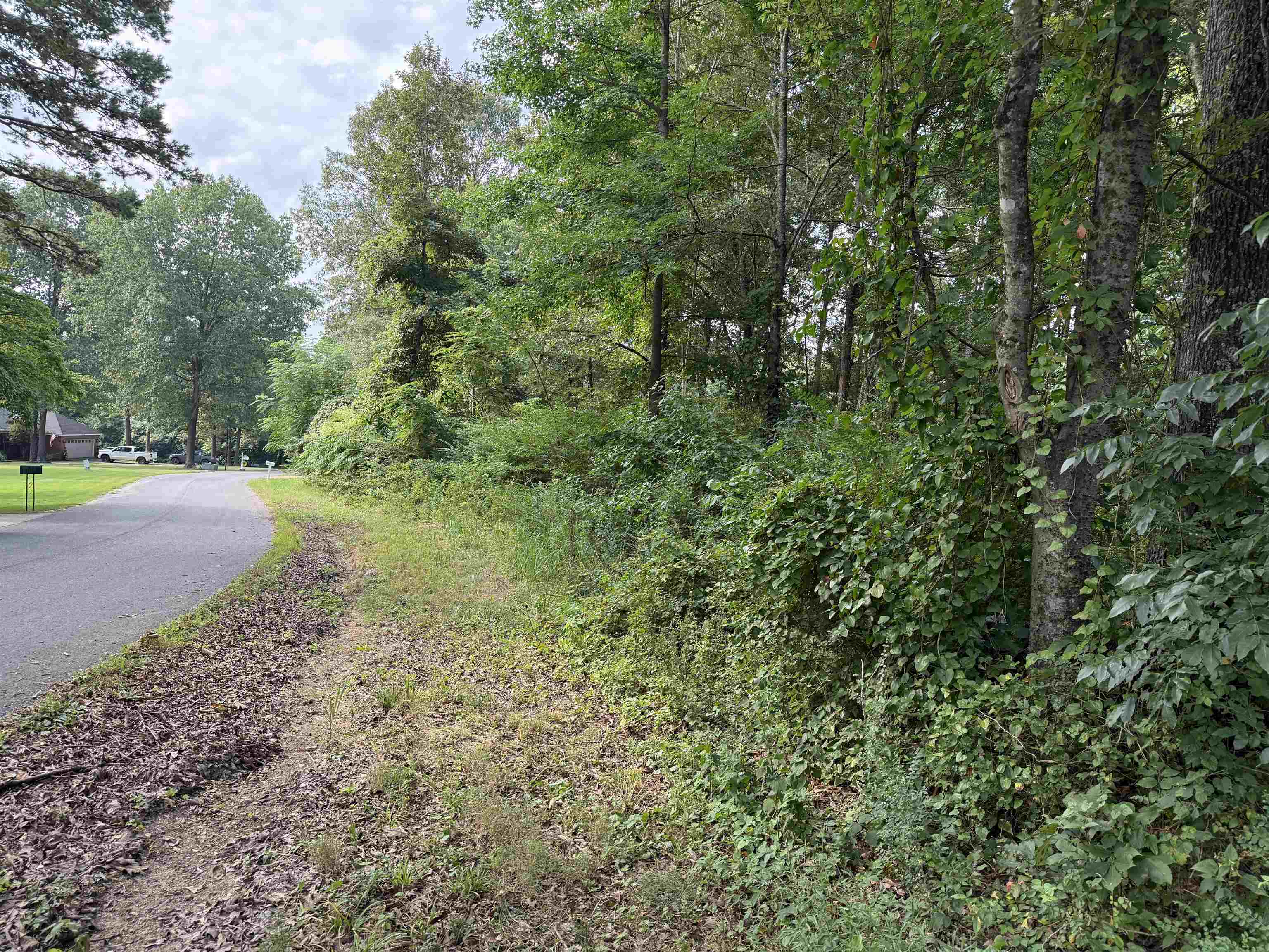 16 Camp Road Property Photo 4