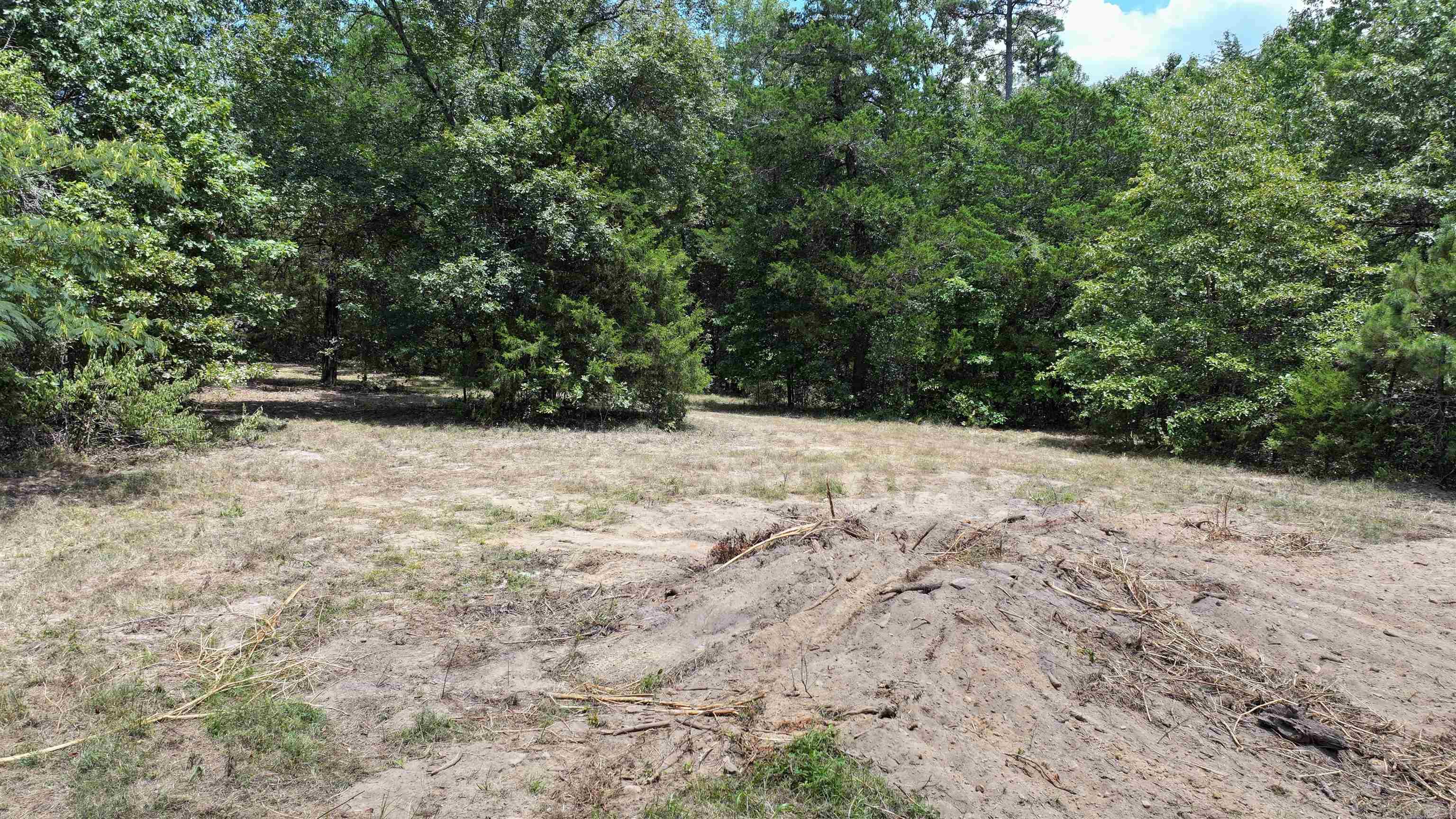 158 Hawg Country Place Property Photo 4
