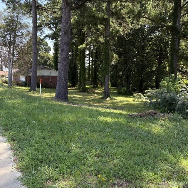 3808 Hwy 5 N Property Photo 2