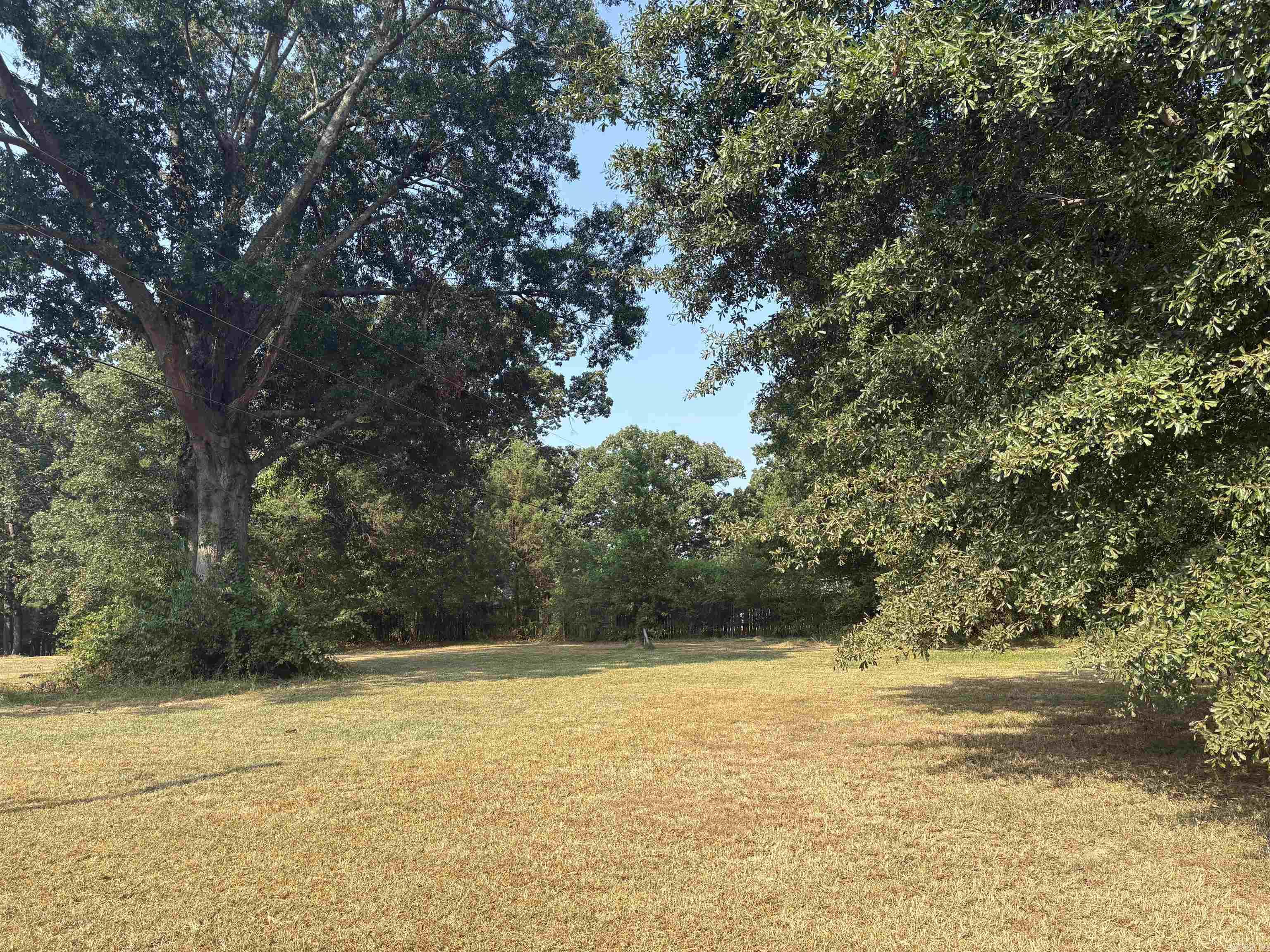 Lot 1r, 2r, 3r Curtis Lane Property Photo 6