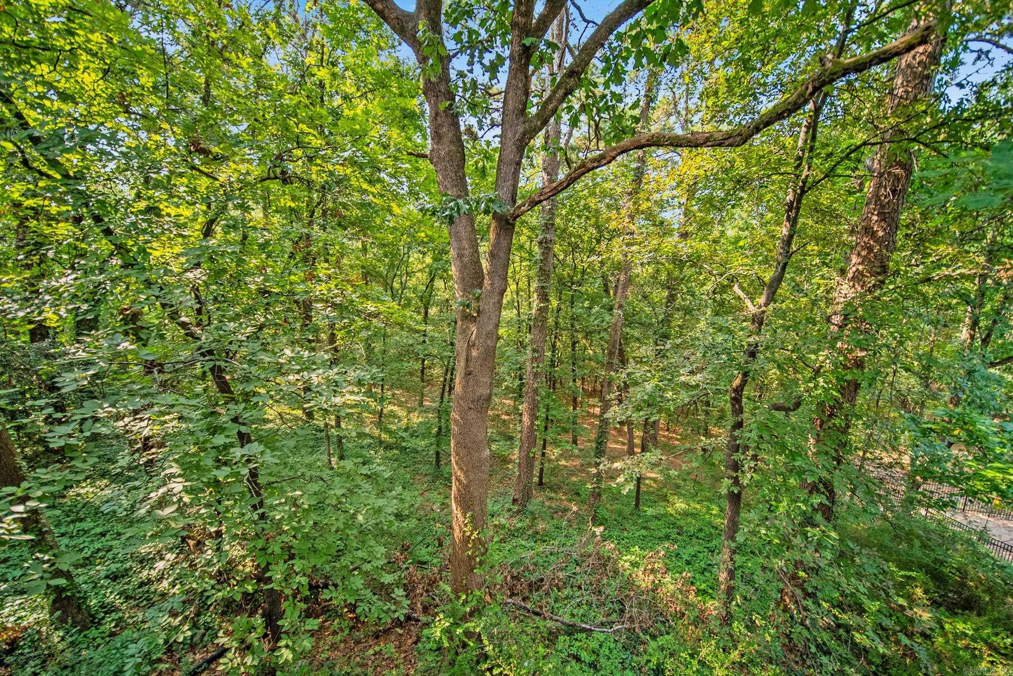 266 Valley Club Circle Property Photo 48