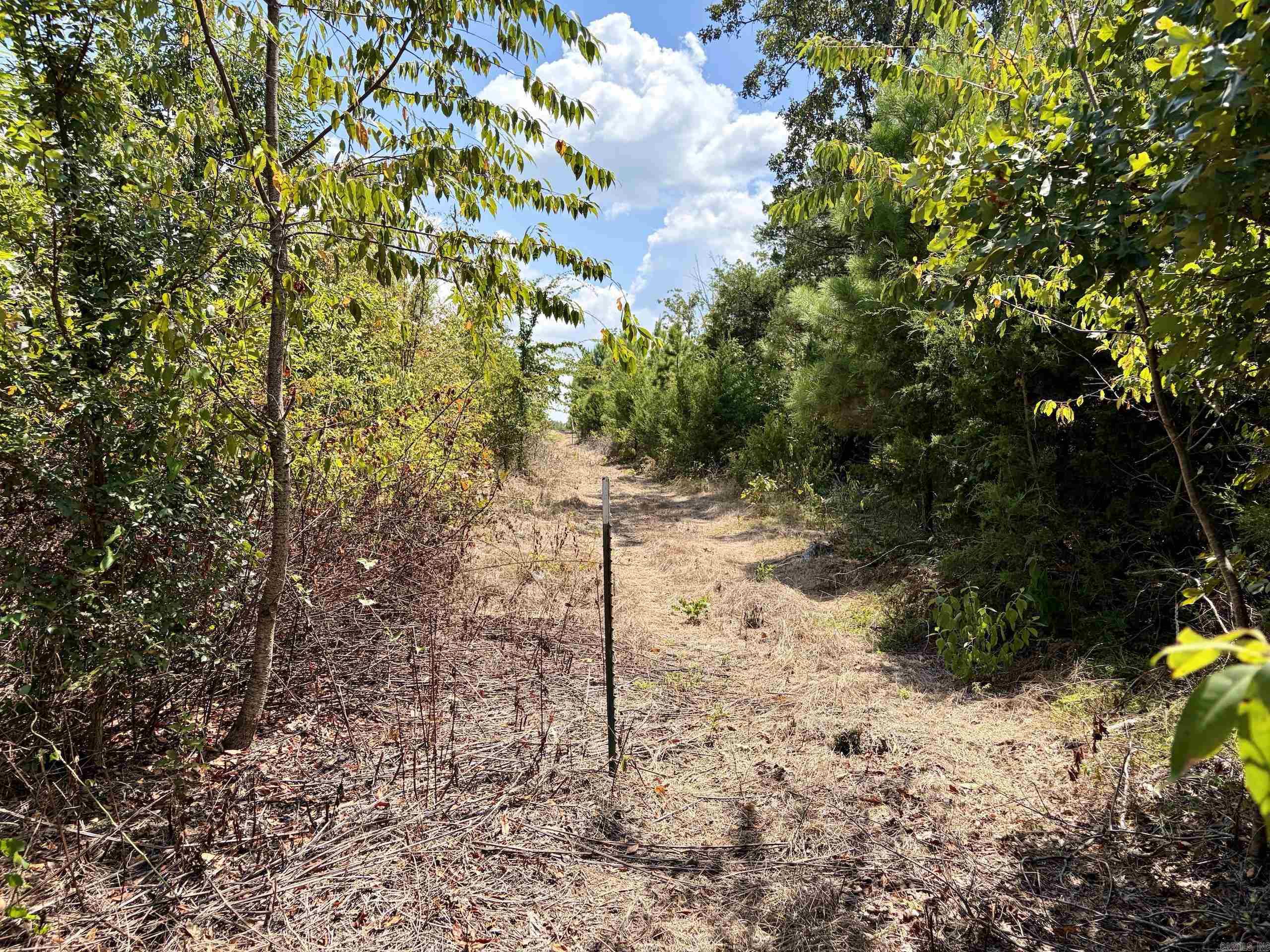 000 Rainbow Road Property Photo 6
