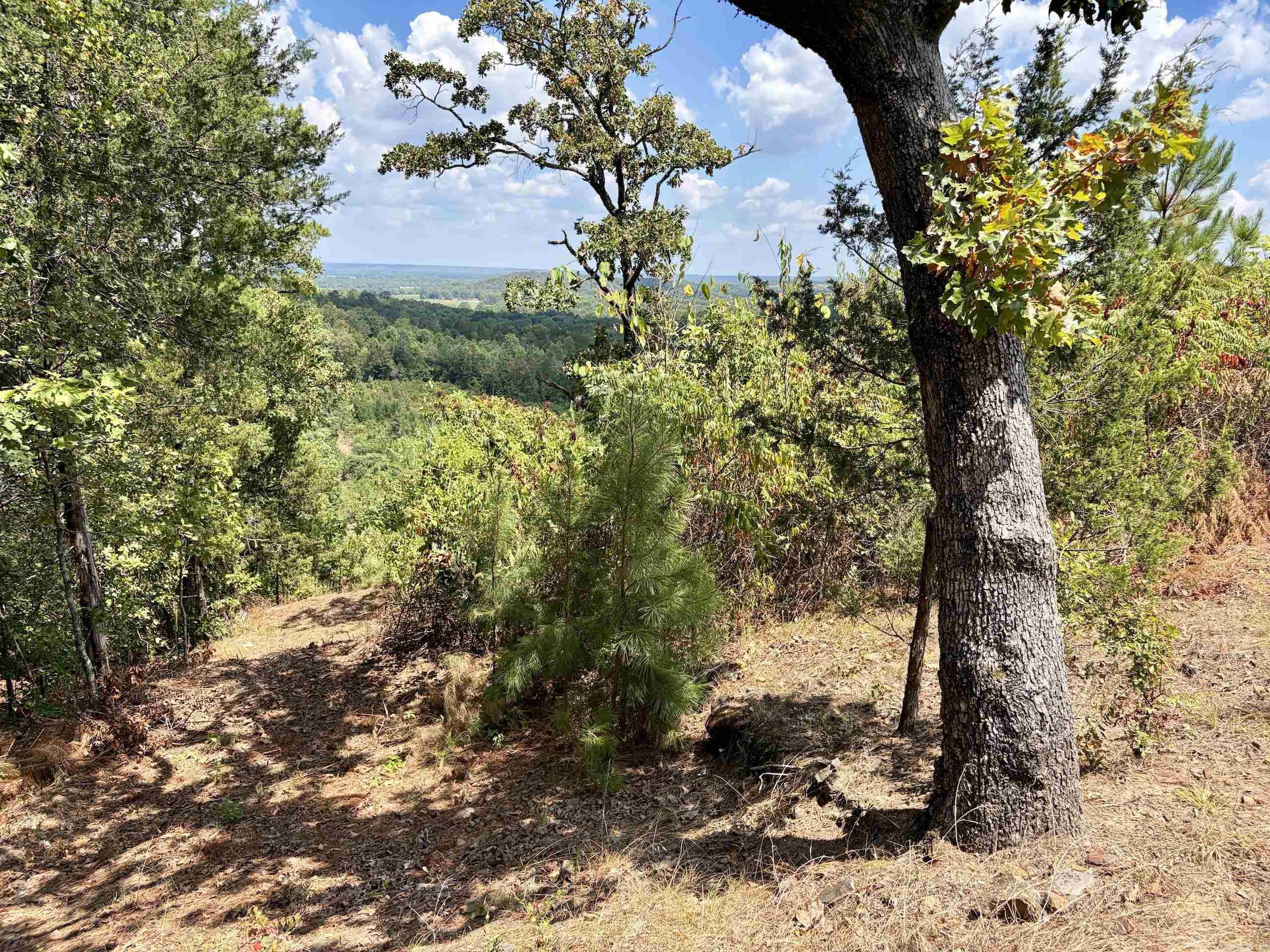 000 Rainbow Road Property Photo 18