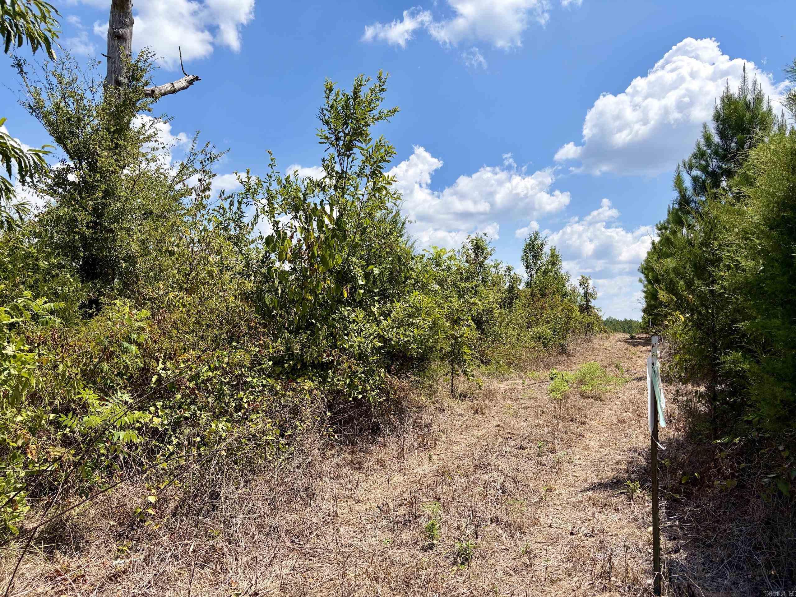000 Rainbow Road Property Photo 22