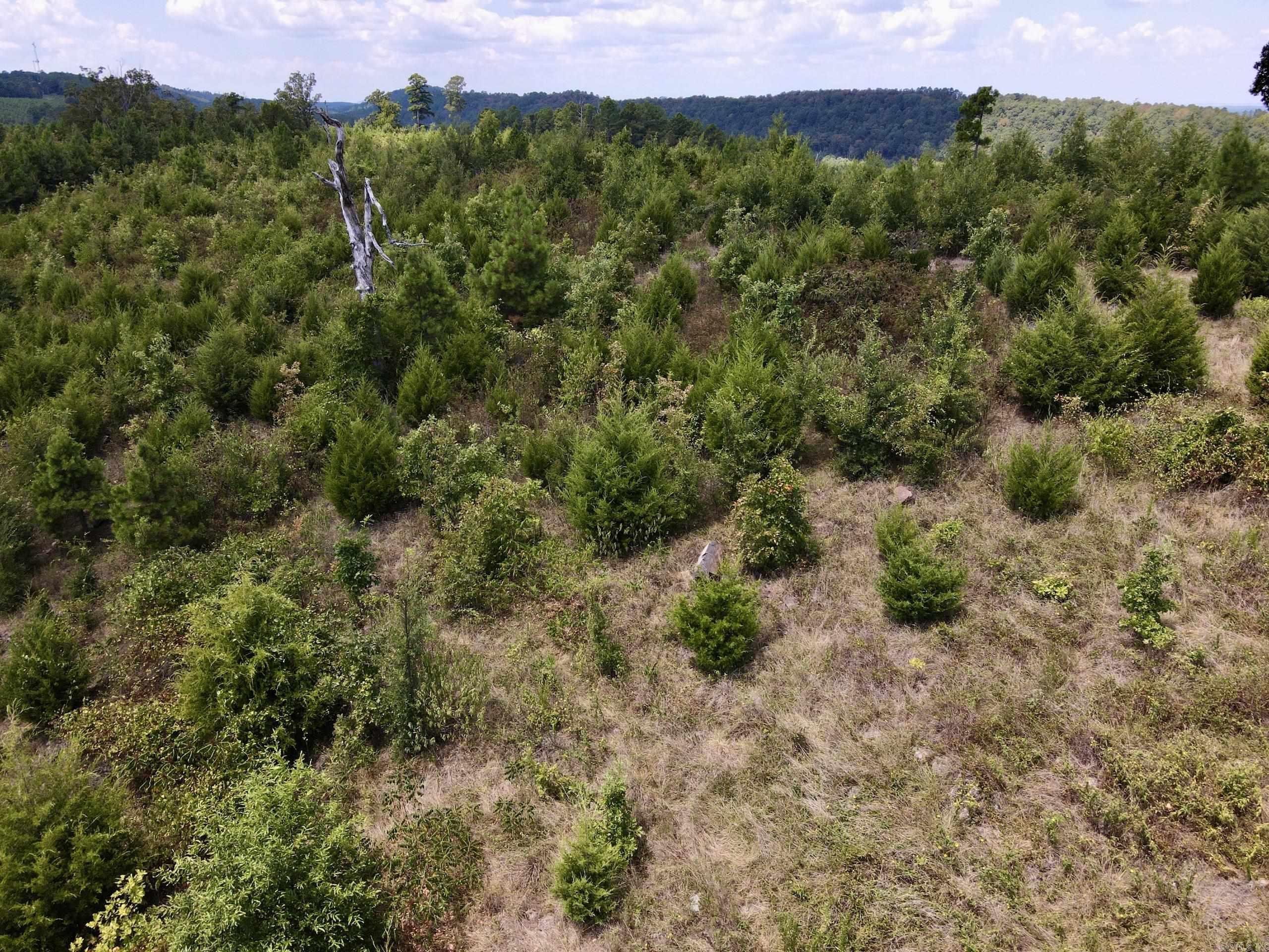 000 Rainbow Road Property Photo 36