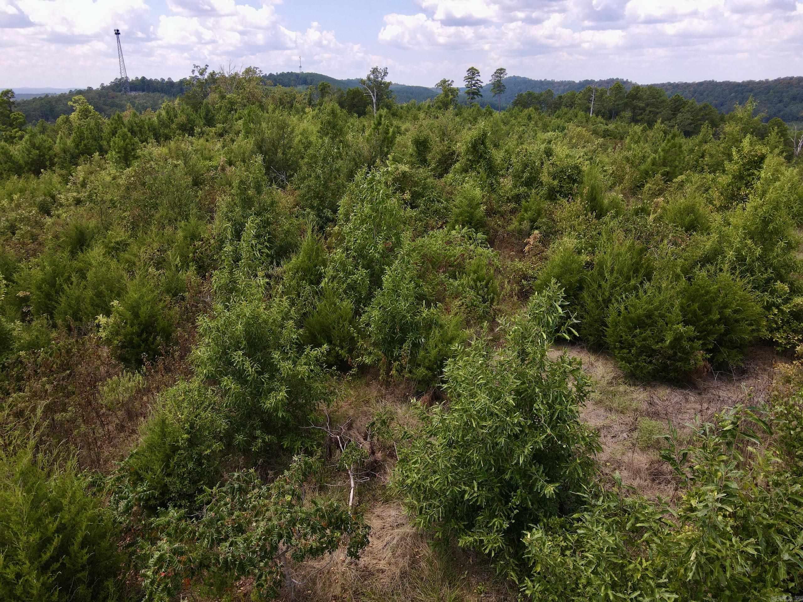 000 Rainbow Road Property Photo 39