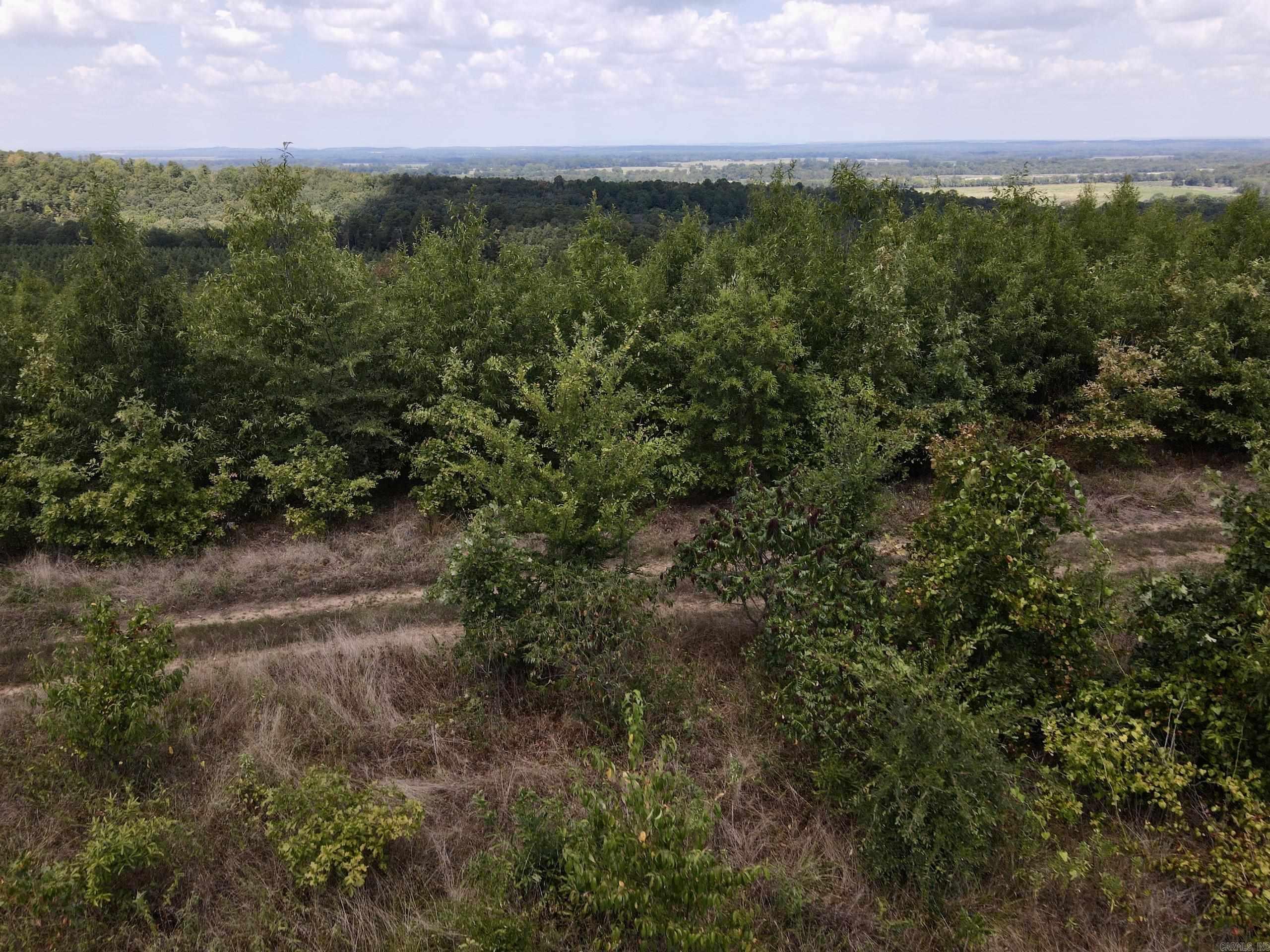 000 Rainbow Road Property Photo 40