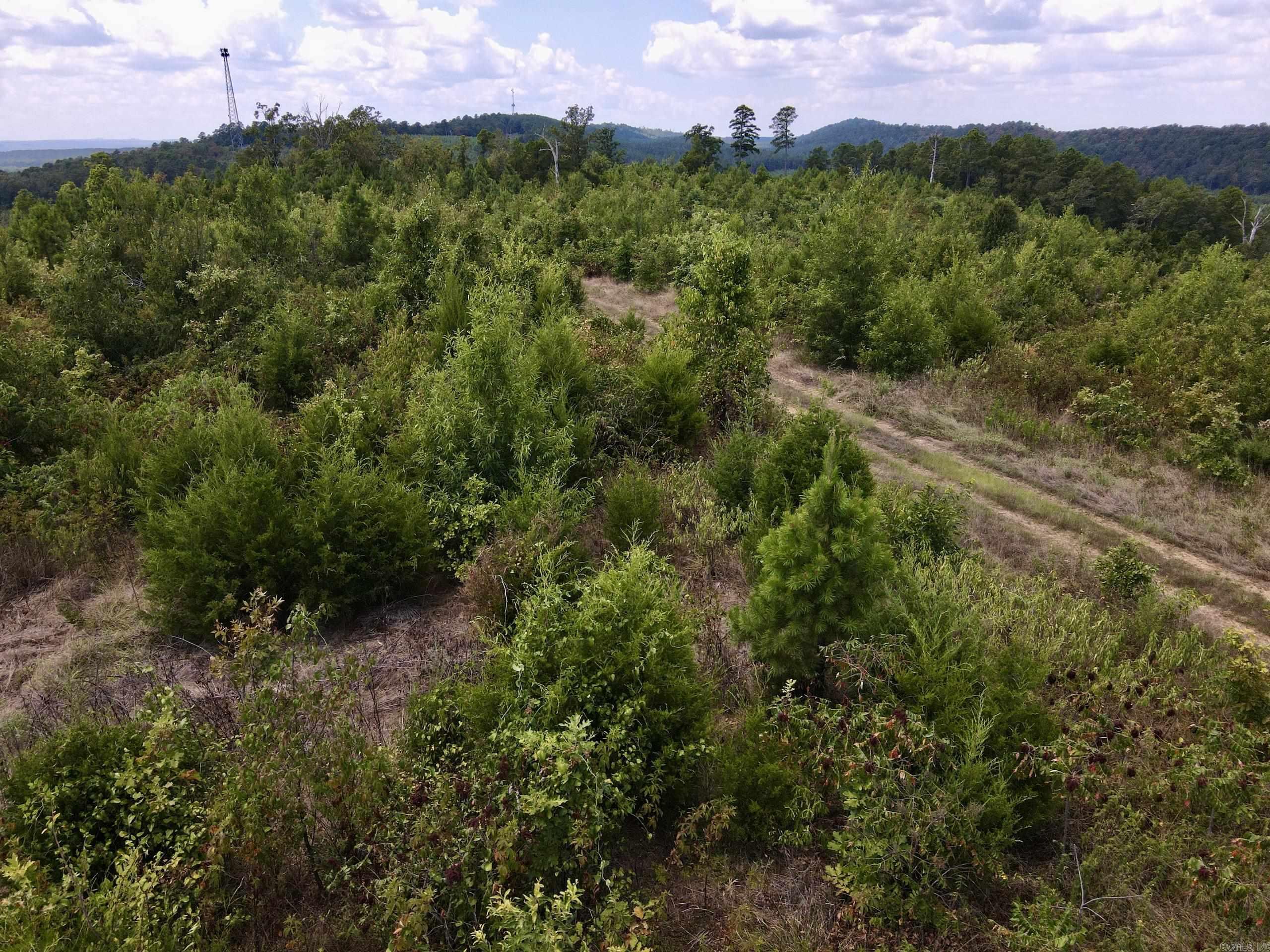 000 Rainbow Road Property Photo 41