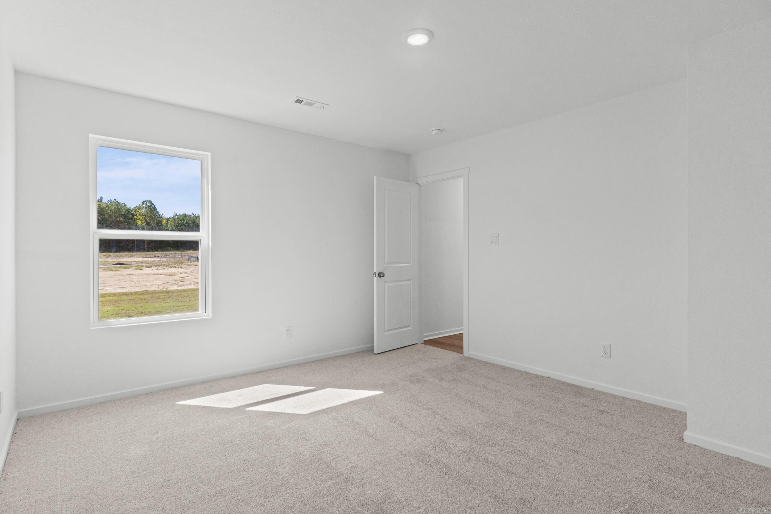 15137 Thompson Branch Trail Property Photo 17