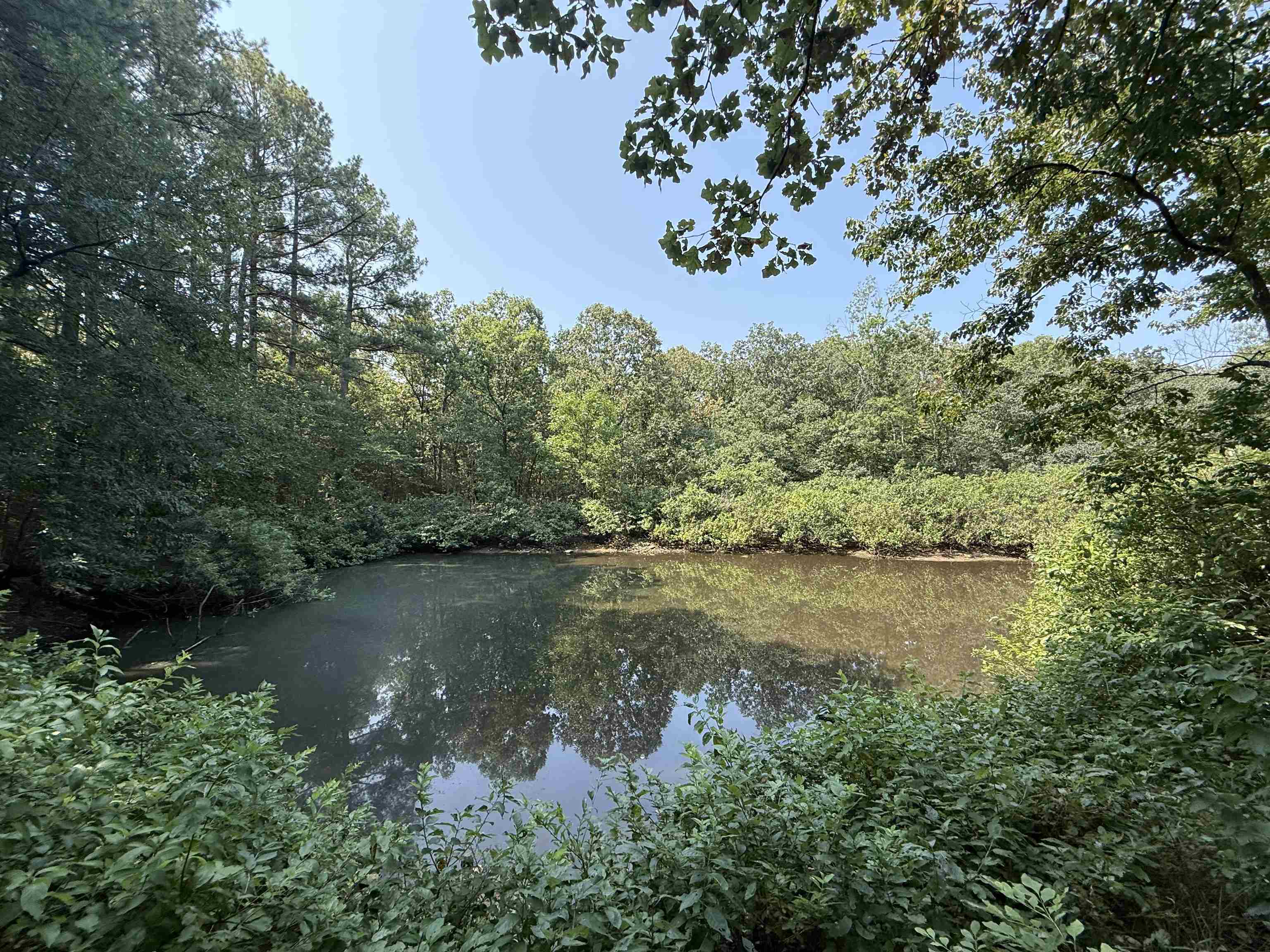 Tbd Shands Road Property Photo 4