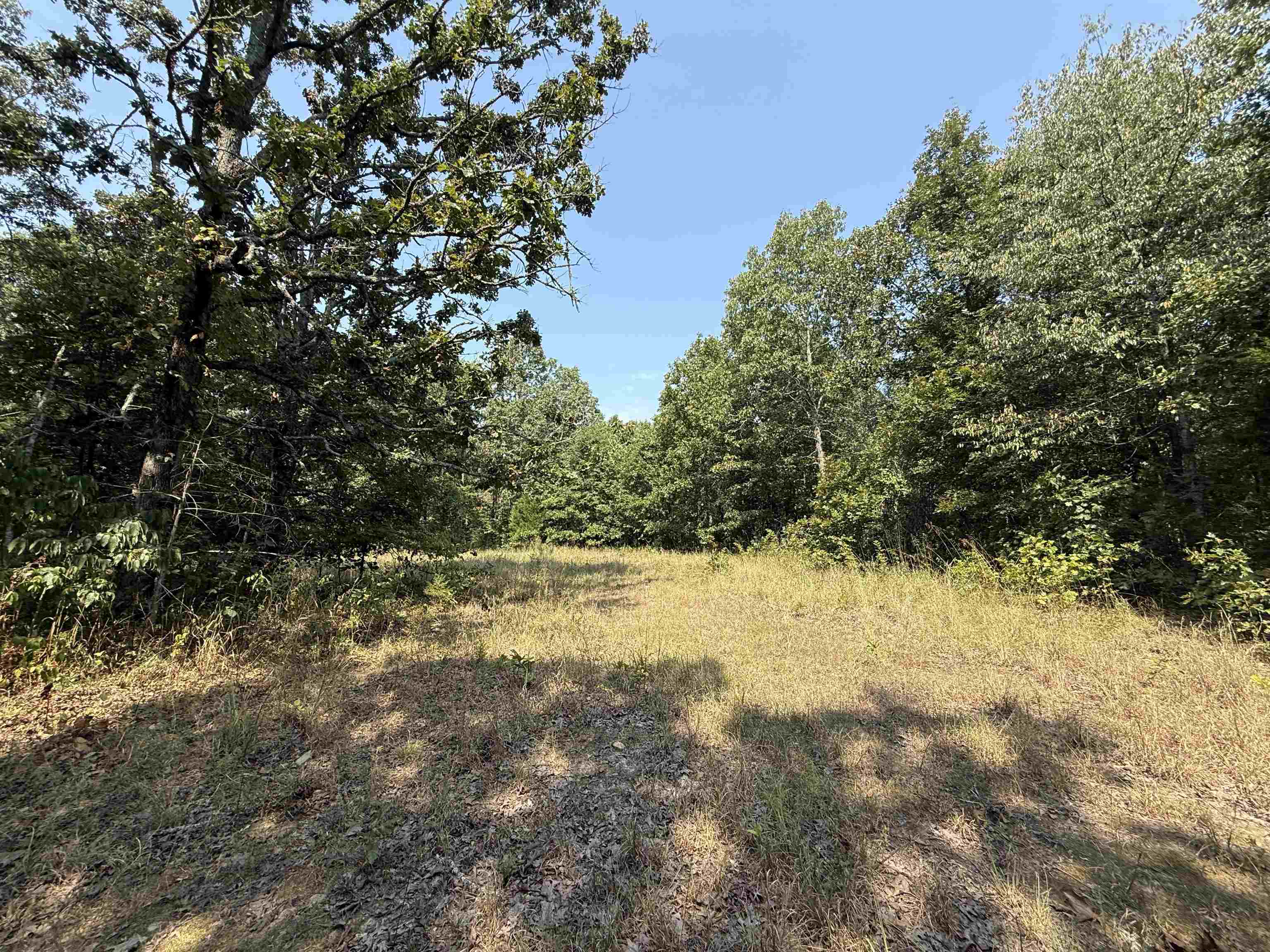 Tbd Shands Road Property Photo 5