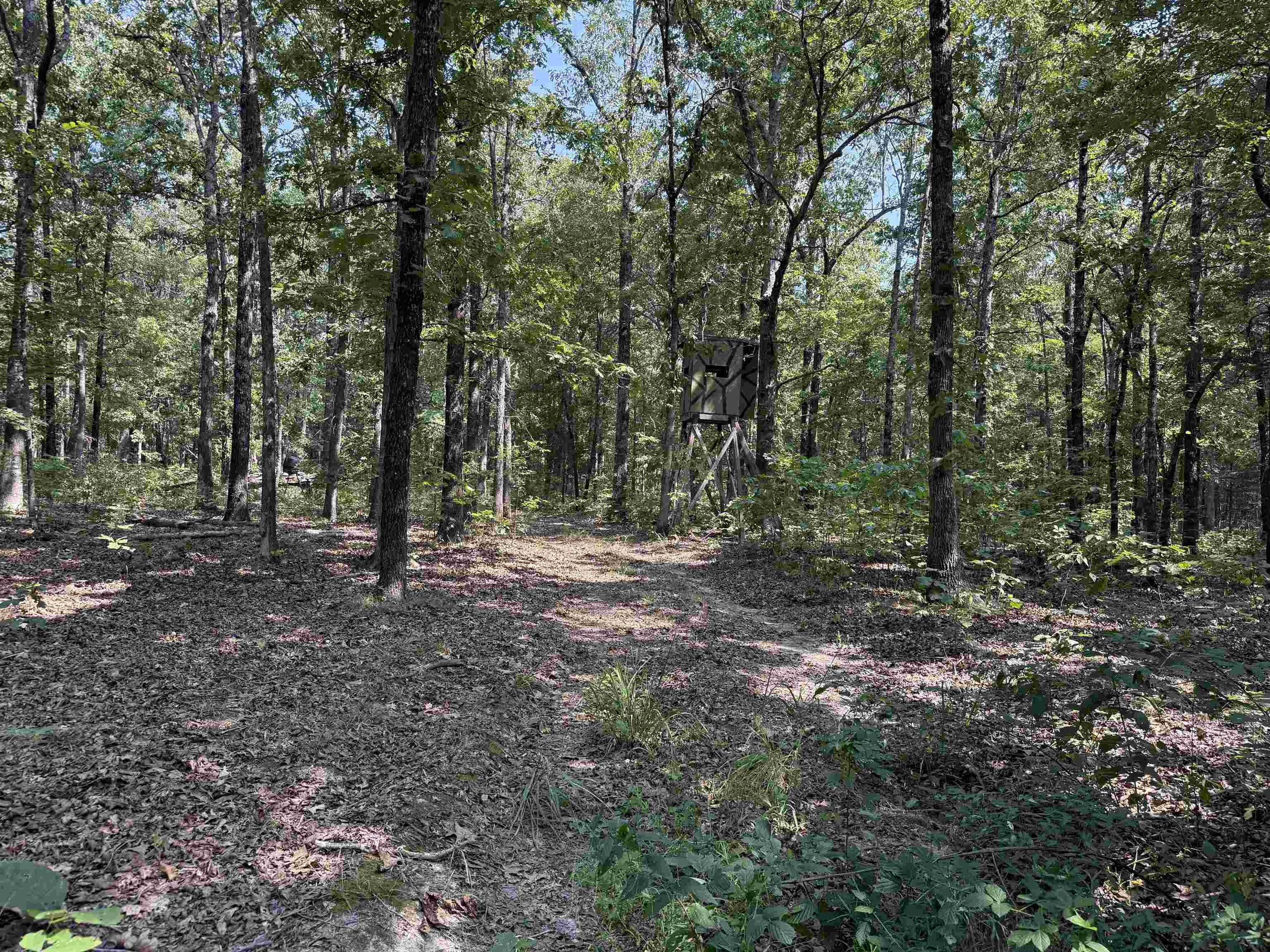 Tbd Shands Road Property Photo 6