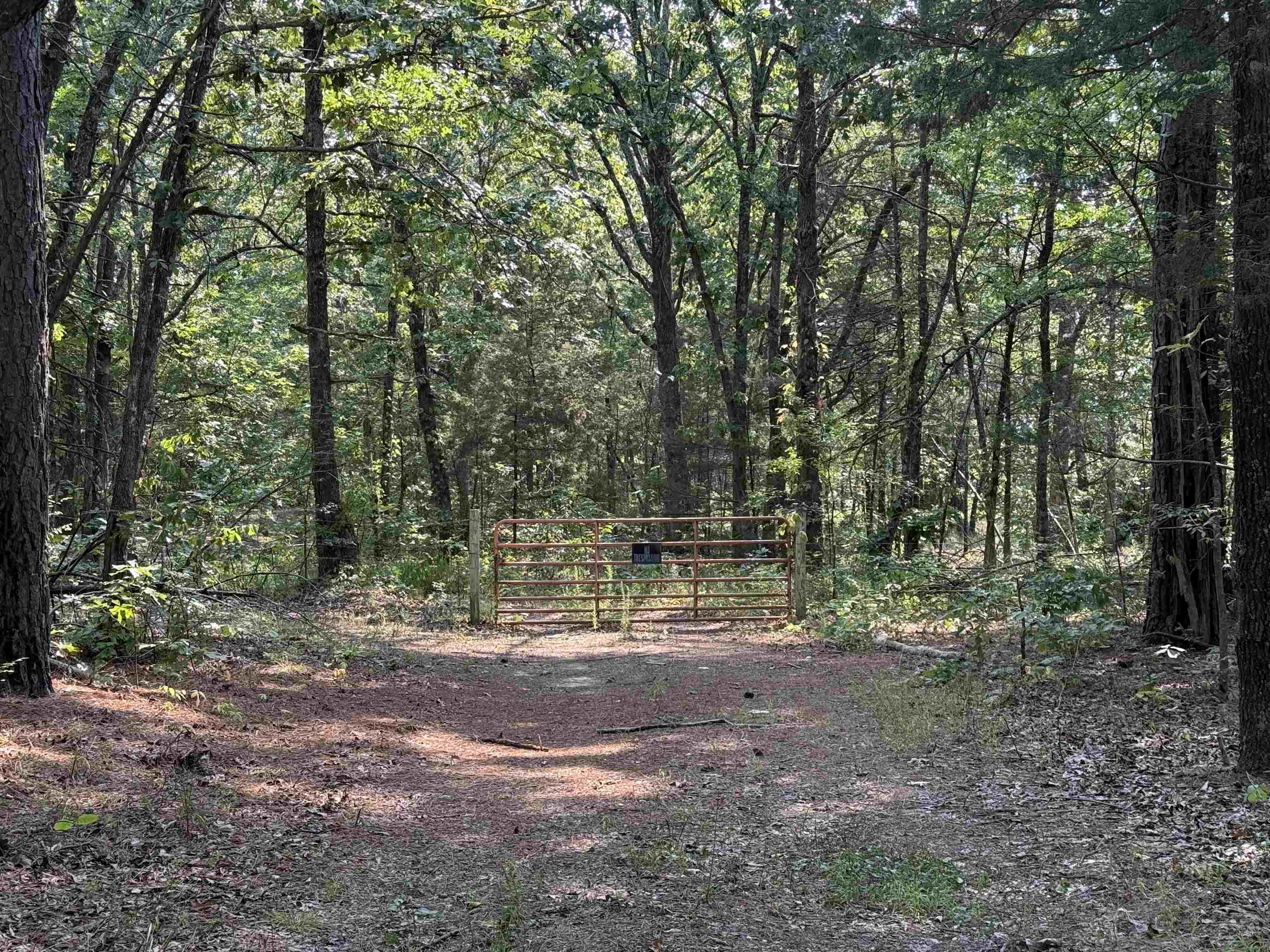 Tbd Shands Road Property Photo 8