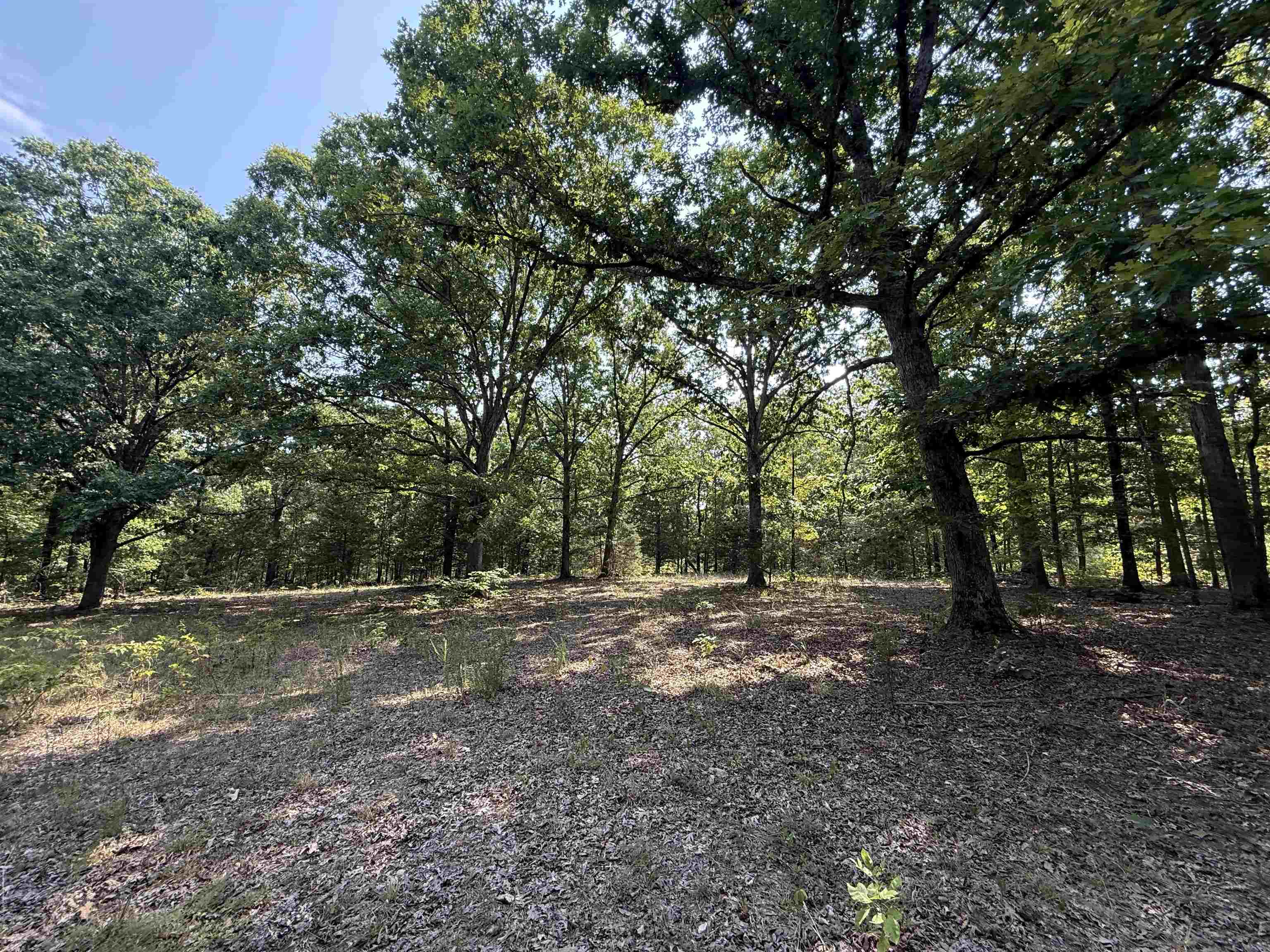 Tbd Shands Road Property Photo 9