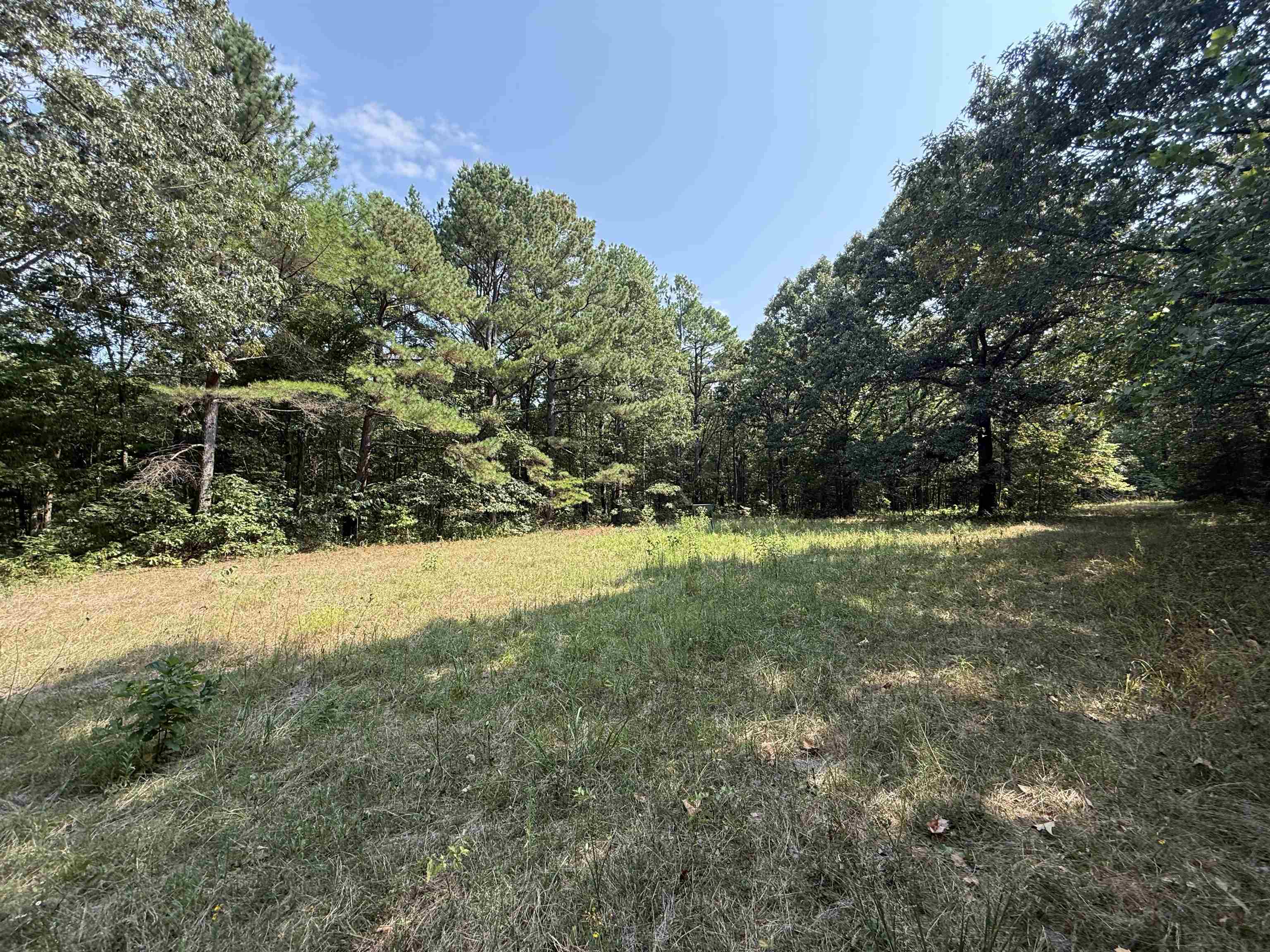 Tbd Shands Road Property Photo 10