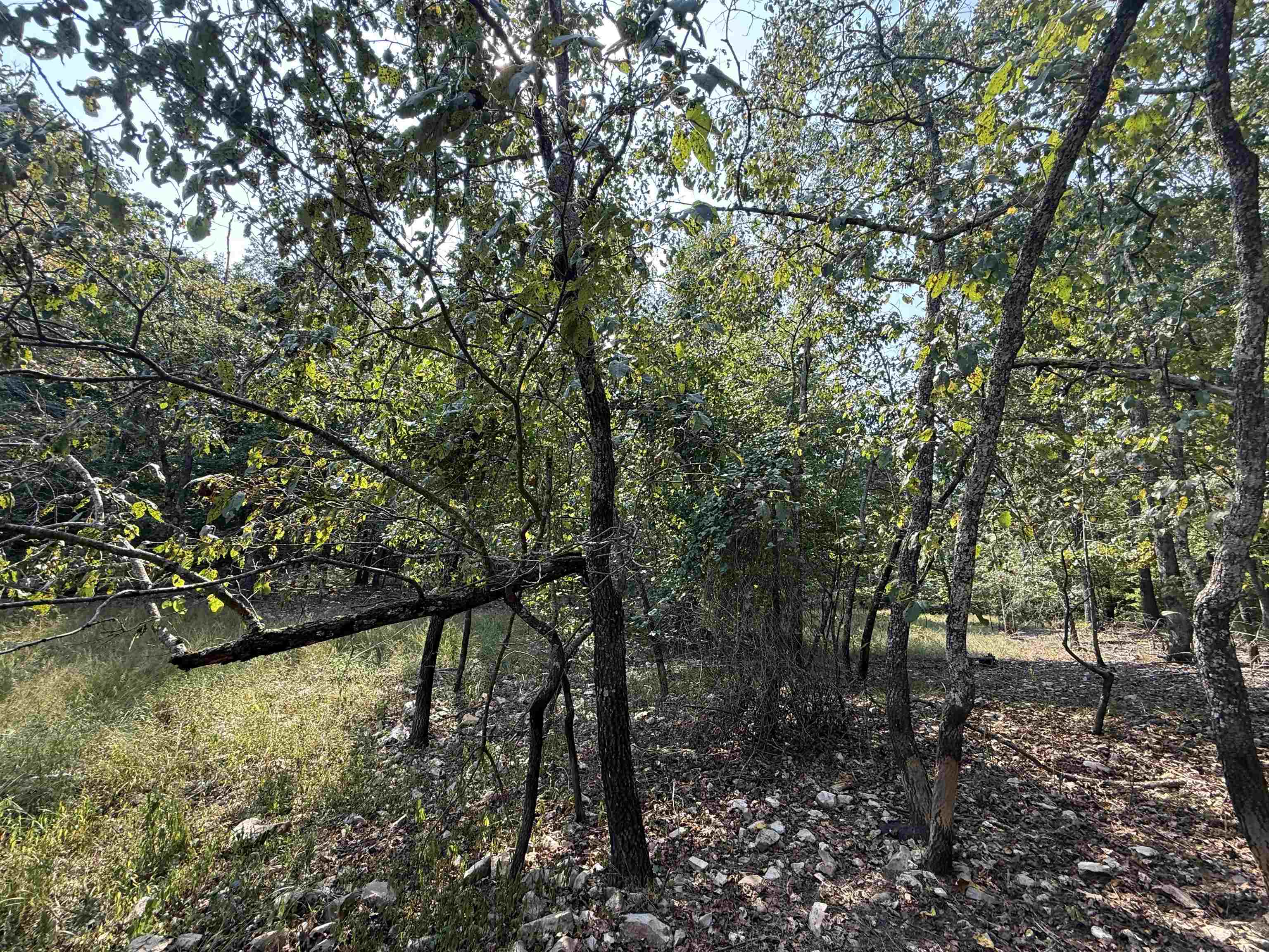 Tbd Shands Road Property Photo 23