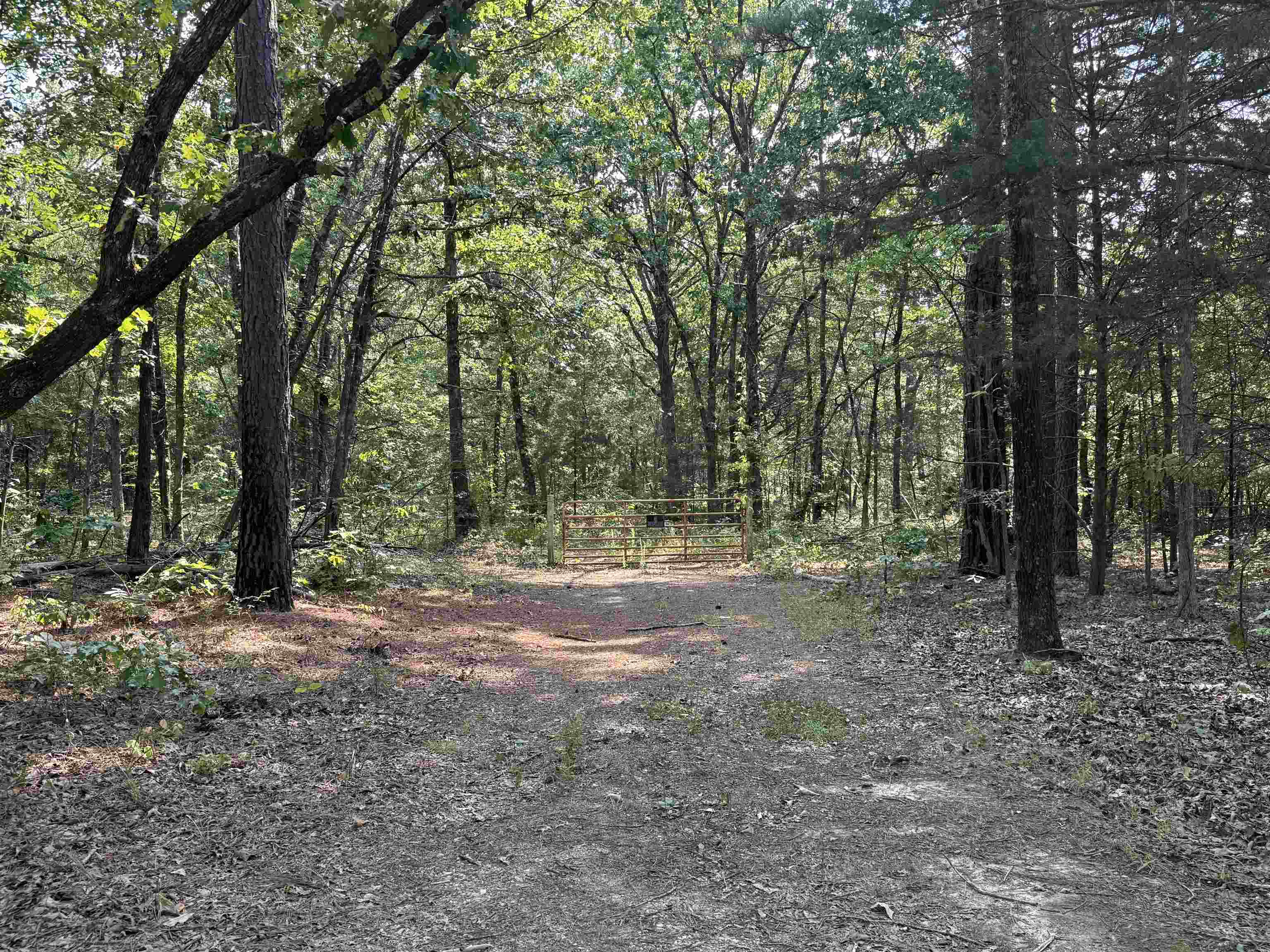 Tbd Shands Road Property Photo 25