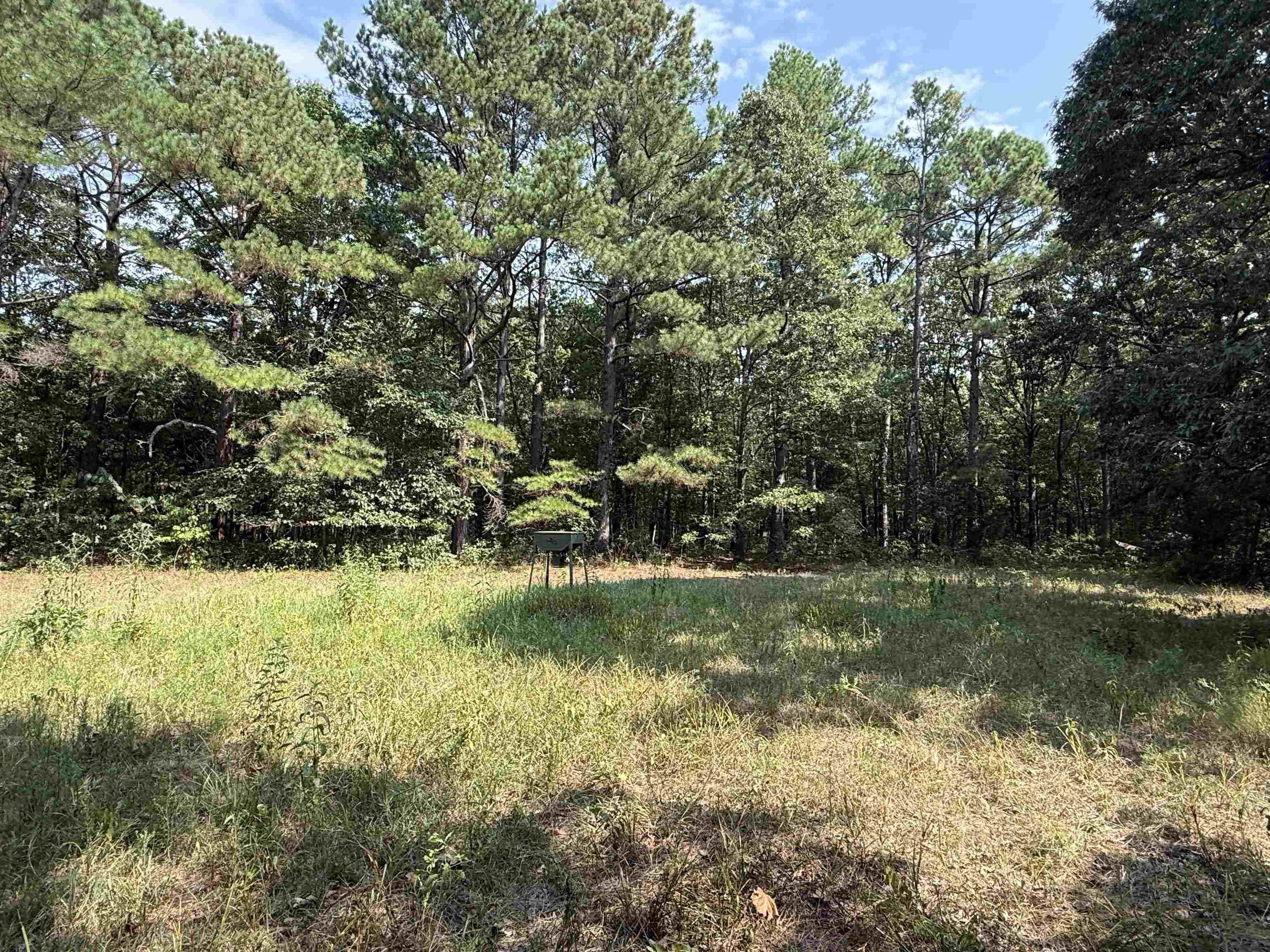 Tbd Shands Road Property Photo 26