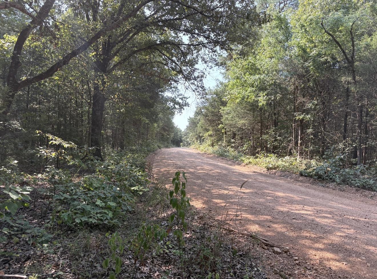 Tbd Shands Road Property Photo 27