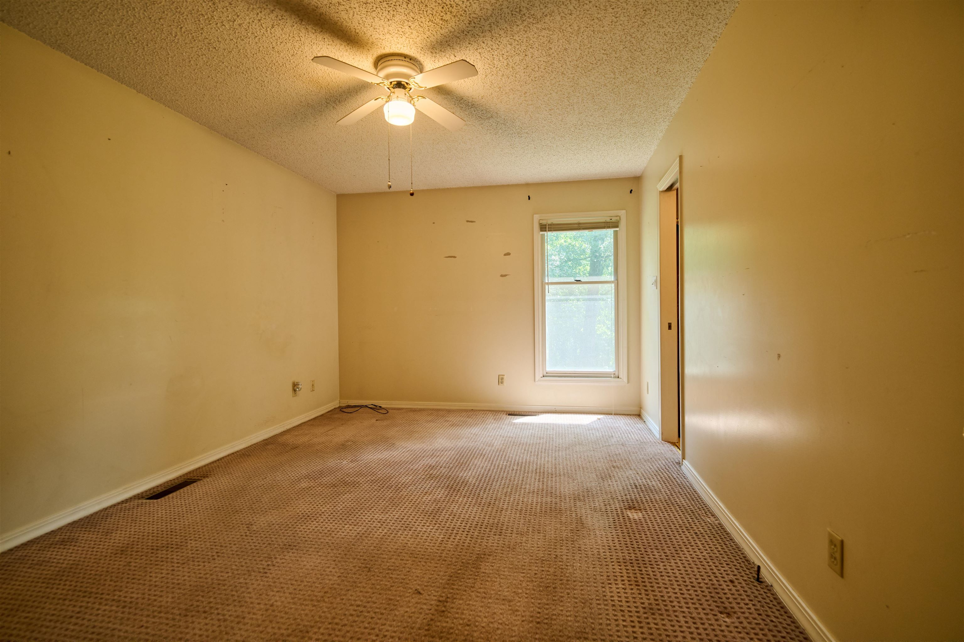 102 Hebron Property Photo 19