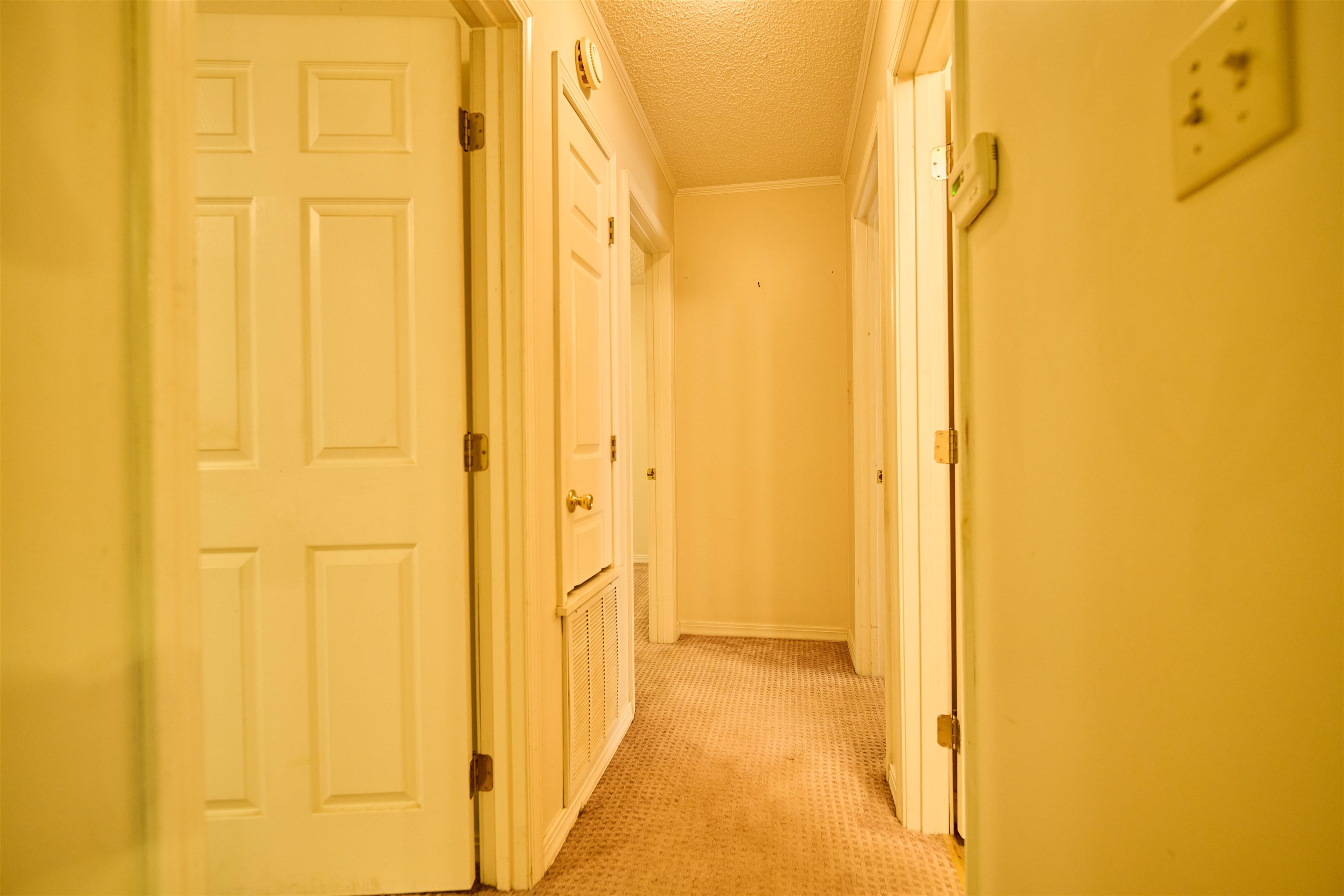 102 Hebron Property Photo 21
