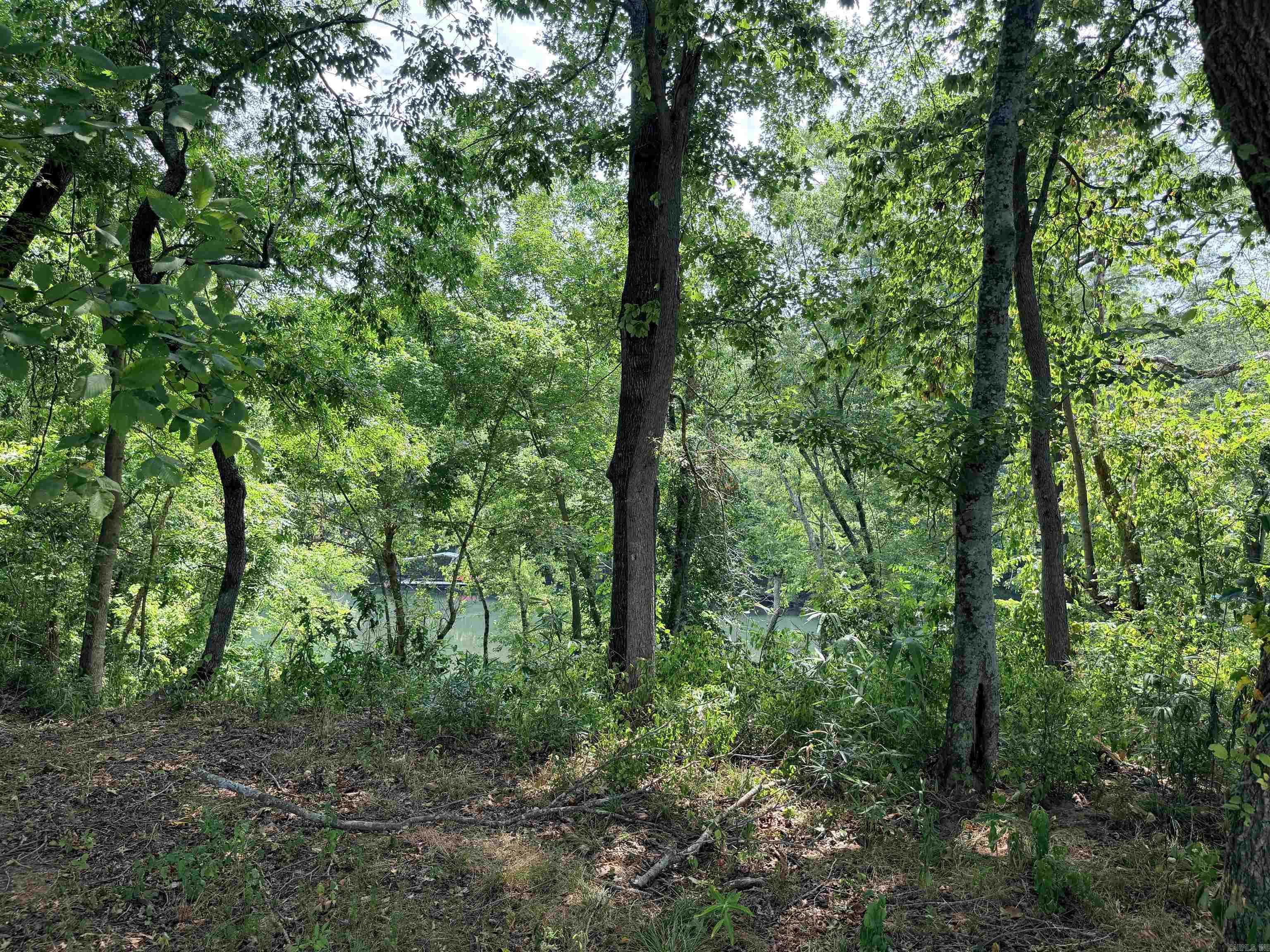 104 Adams Drive Property Photo 7