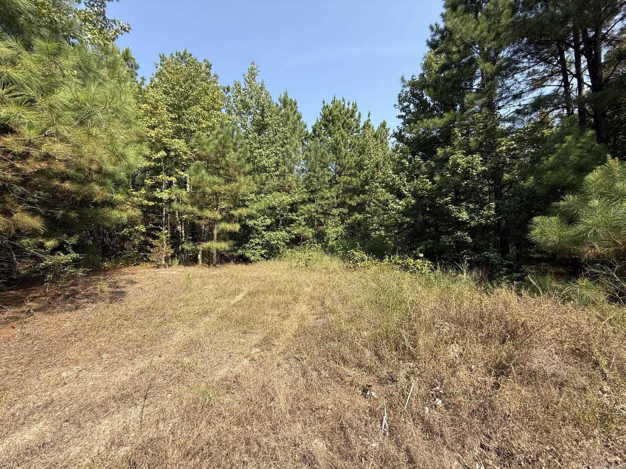 282 Fabre Place Property Photo 2