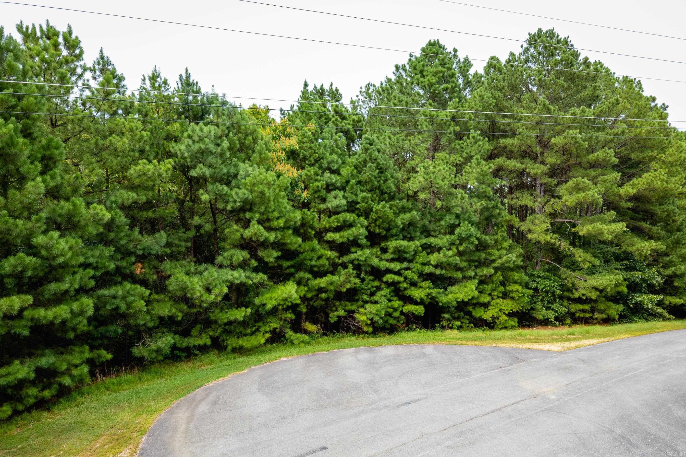 Lot 3 Dawson Springs Property Photo 4
