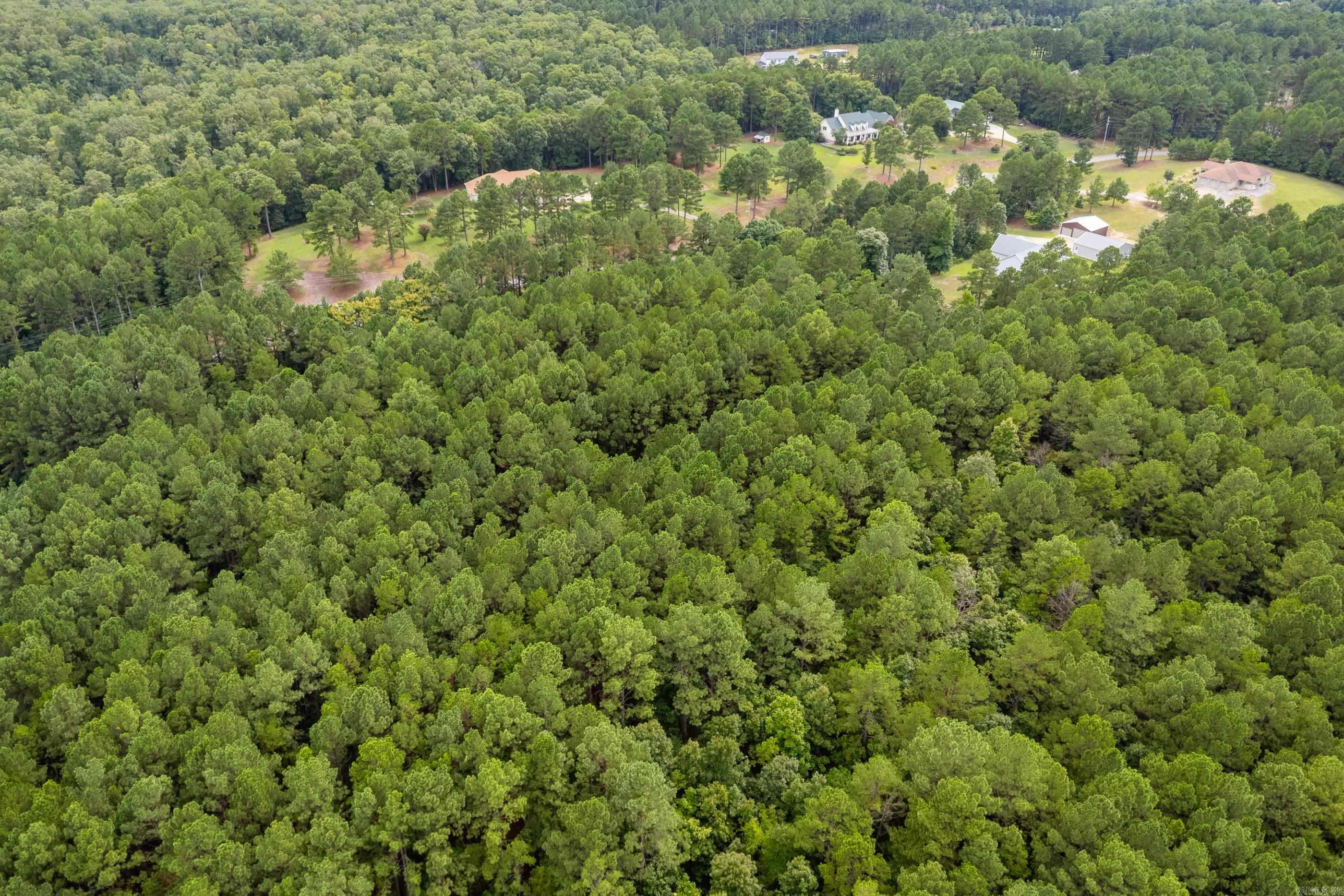 Lot 3 Dawson Springs Property Photo 11