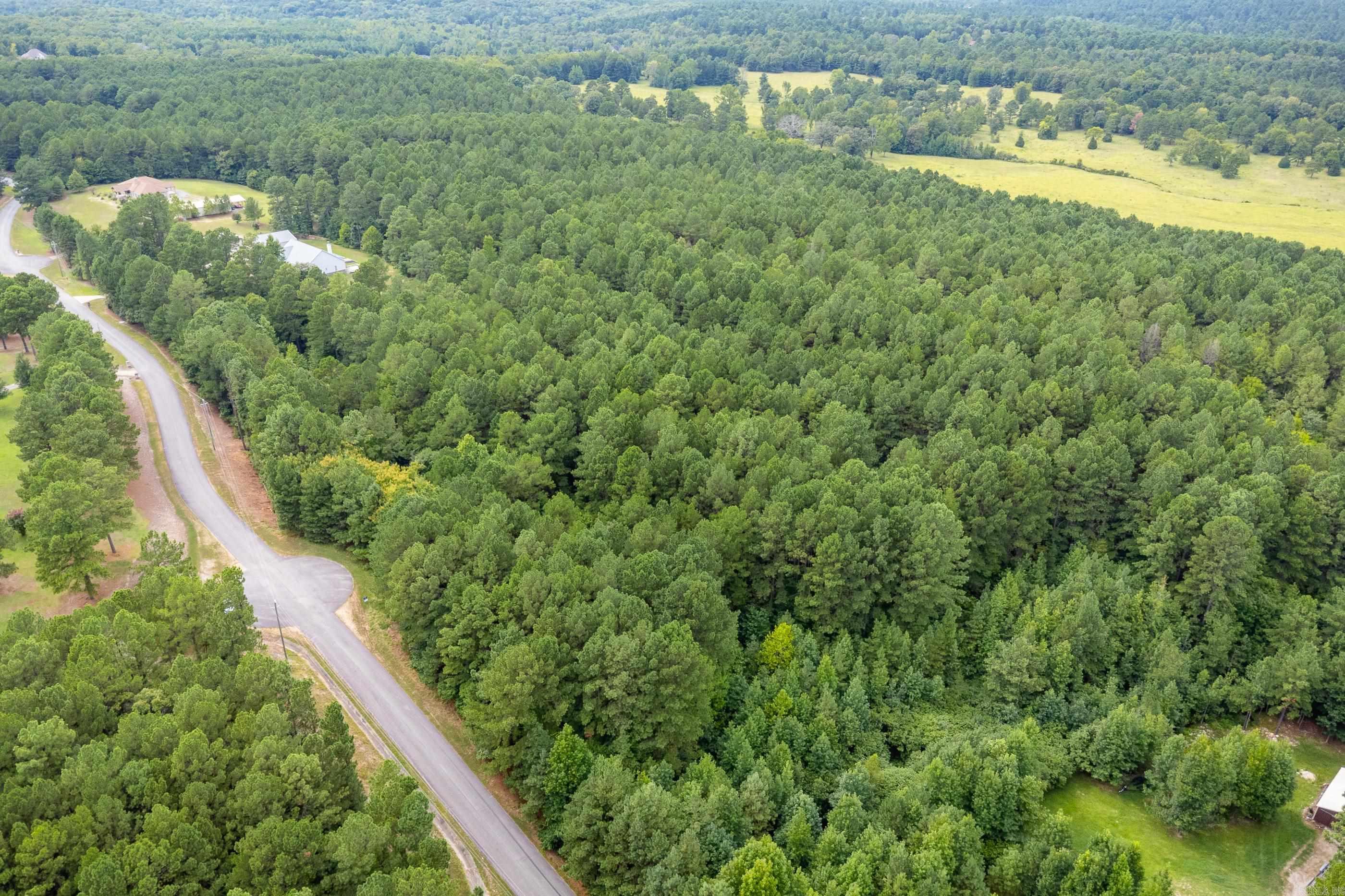 Lot 3 Dawson Springs Property Photo 14