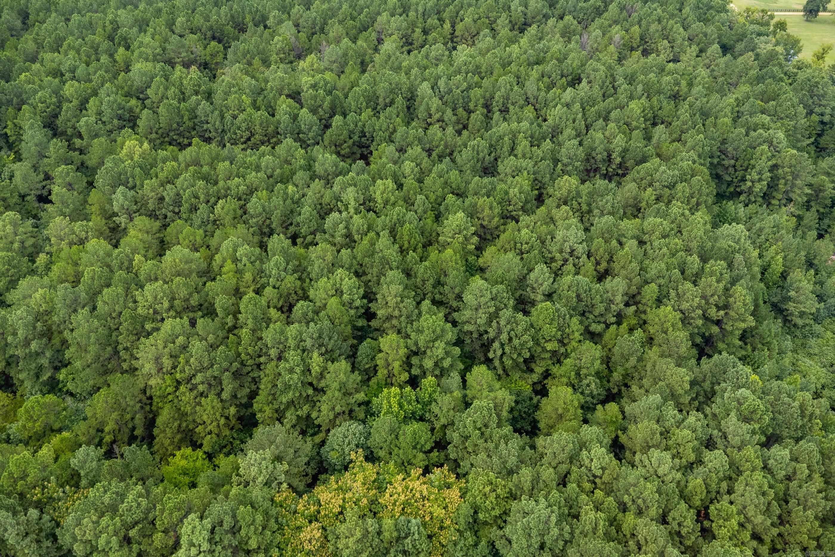 Lot 3 Dawson Springs Property Photo 17