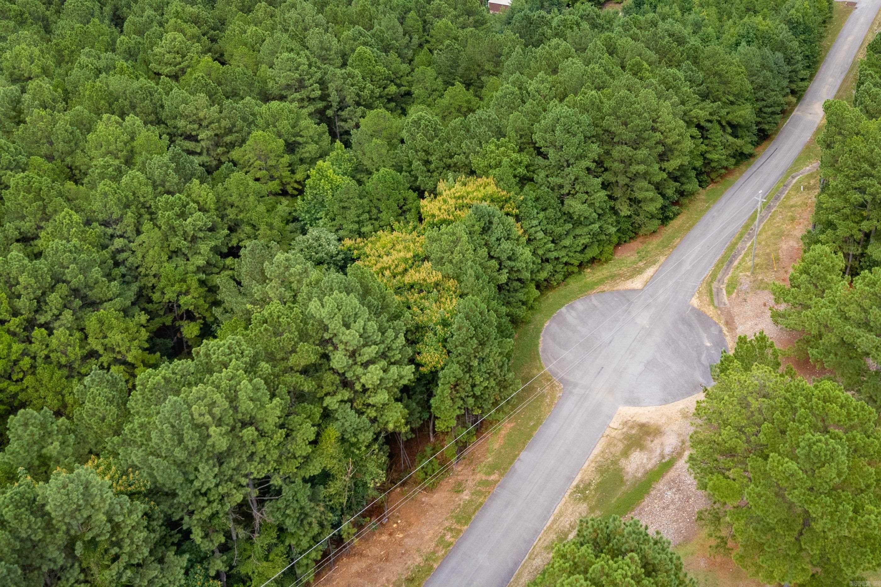 Lot 3 Dawson Springs Property Photo 18