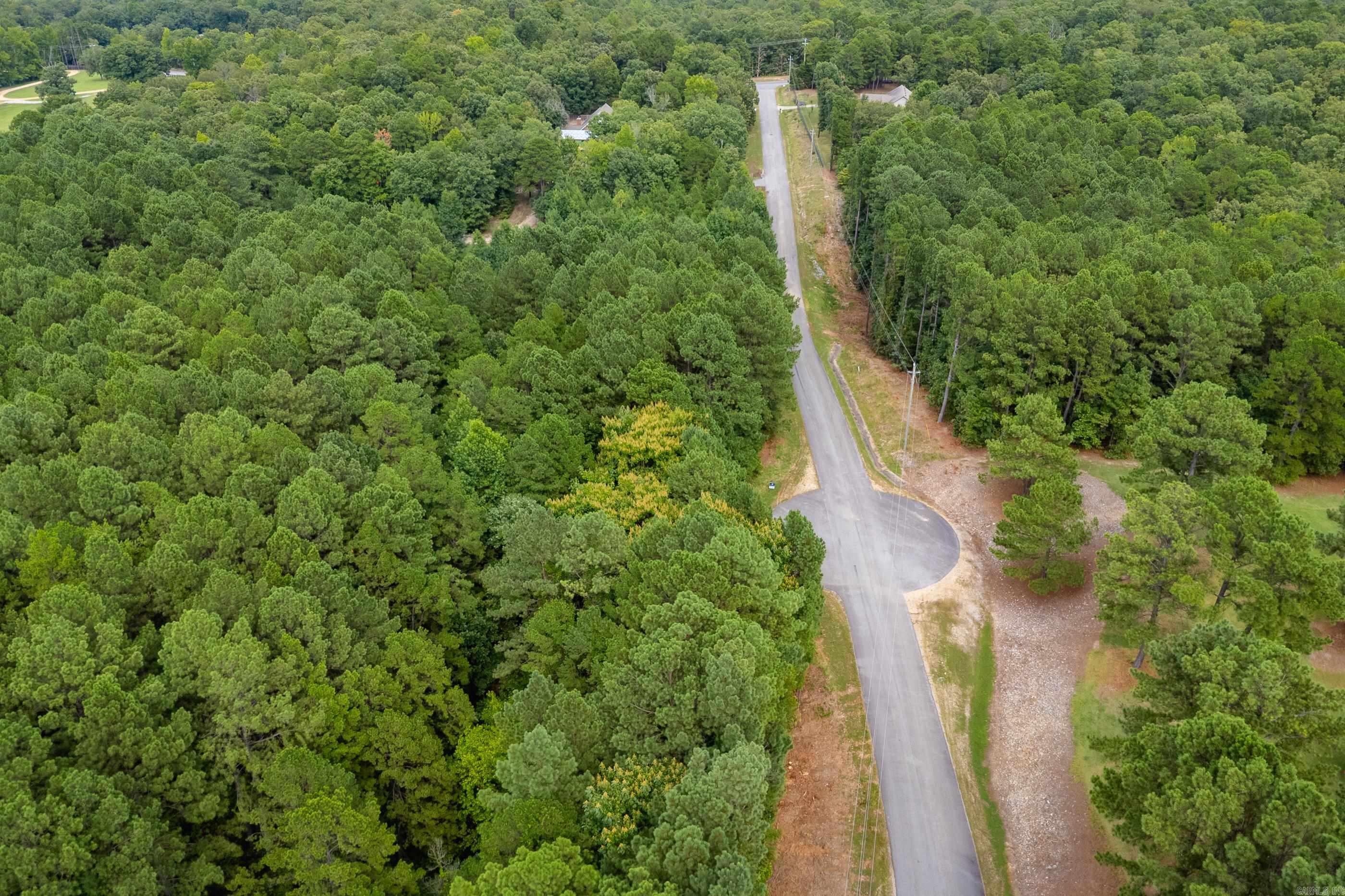 Lot 3 Dawson Springs Property Photo 19