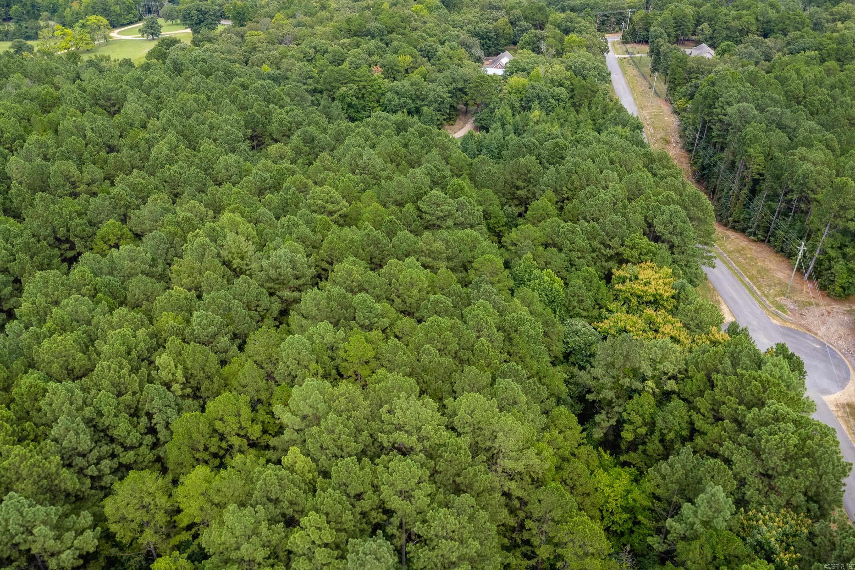 Lot 3 Dawson Springs Property Photo 20