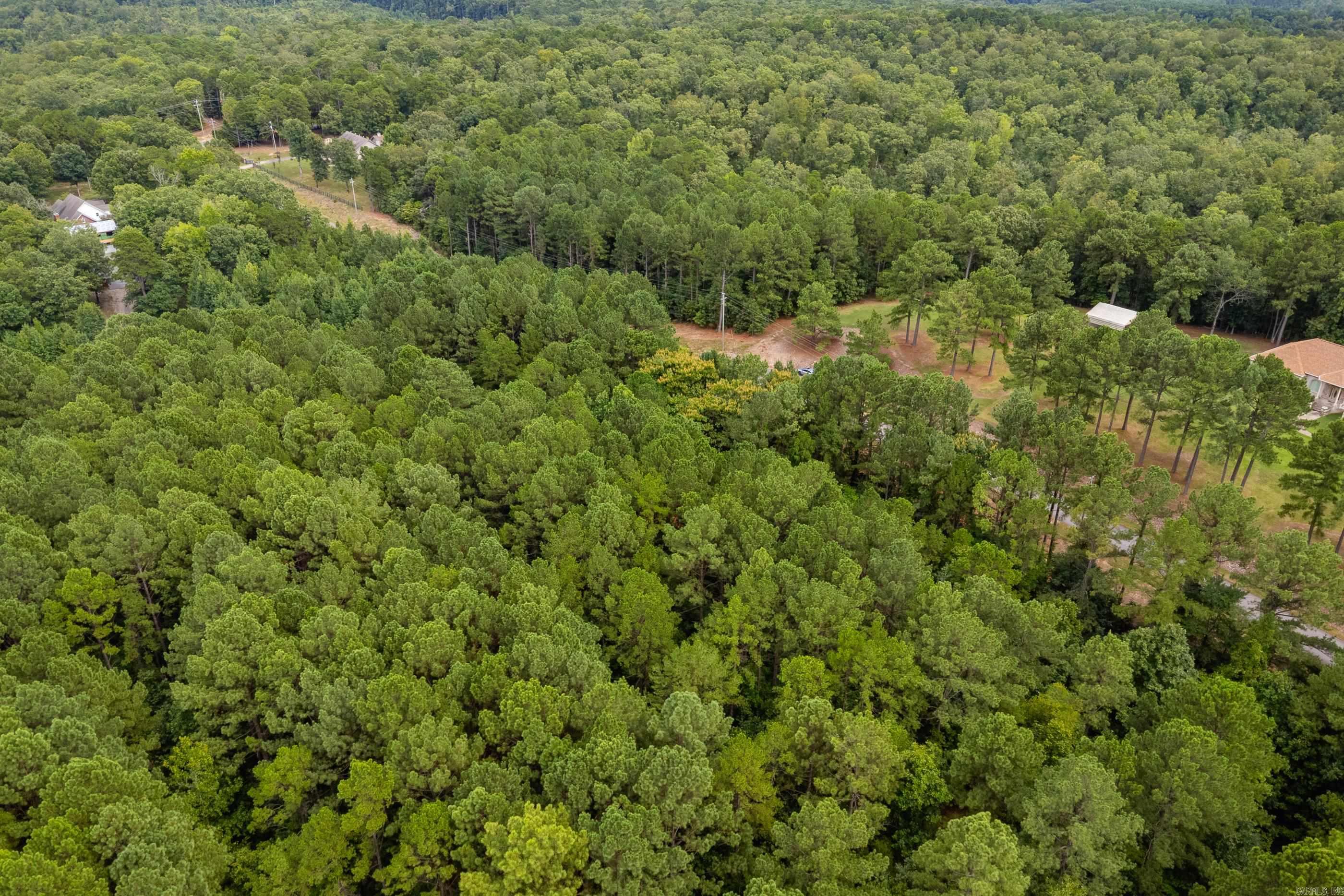 Lot 3 Dawson Springs Property Photo 21