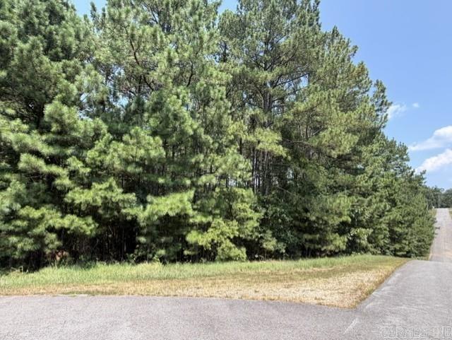 Lot 3 Dawson Springs Property Photo 22