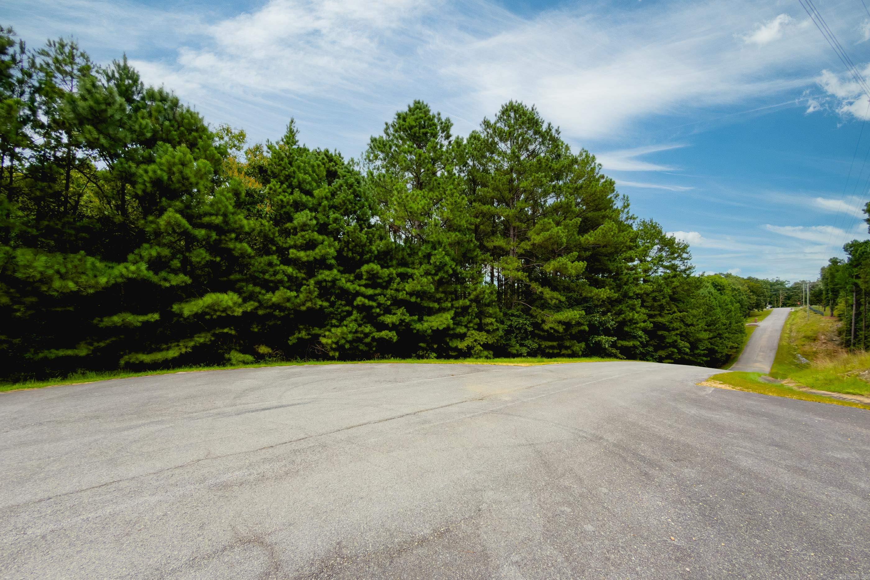 Lot 3 Dawson Springs Property Photo 23