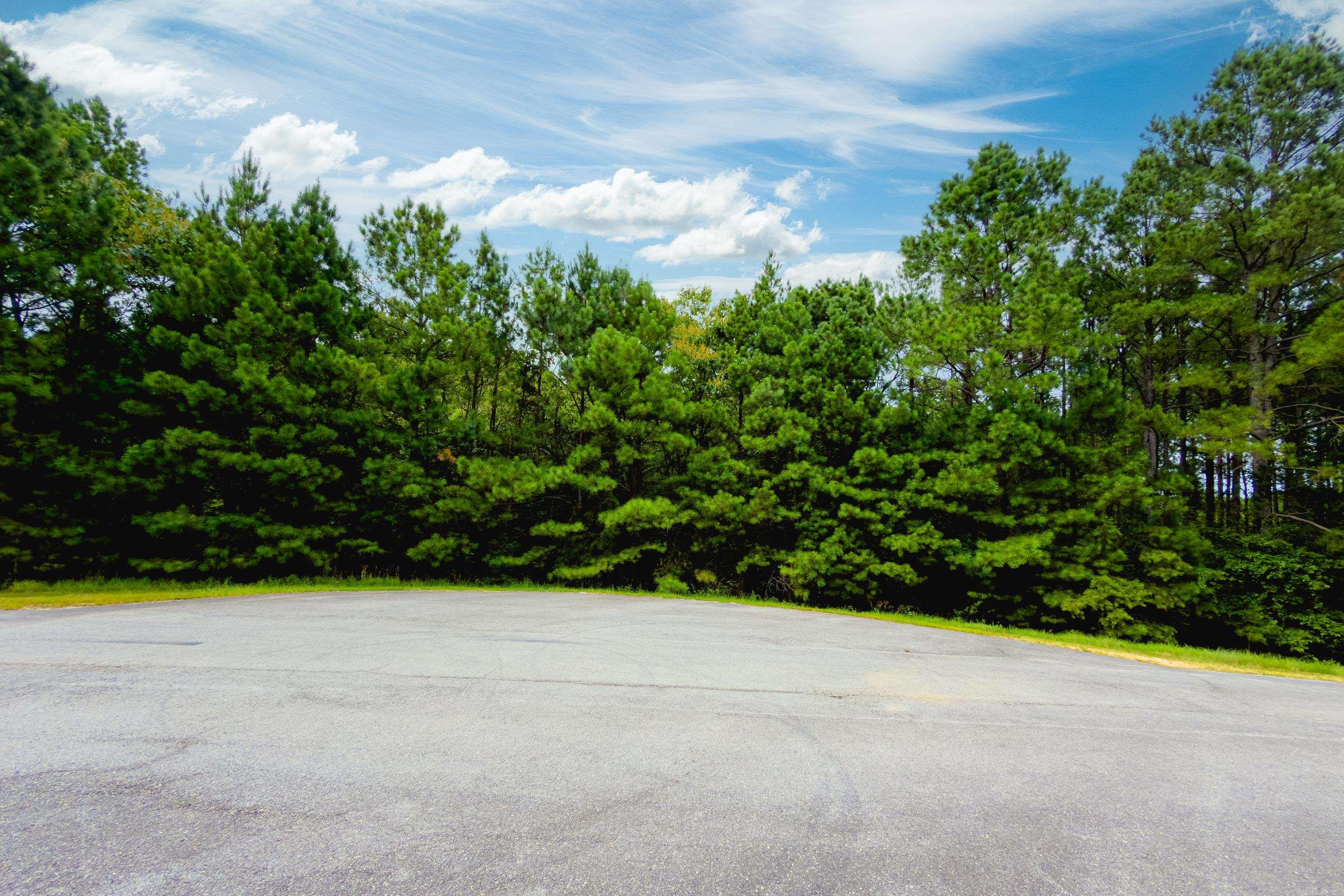 Lot 3 Dawson Springs Property Photo 24