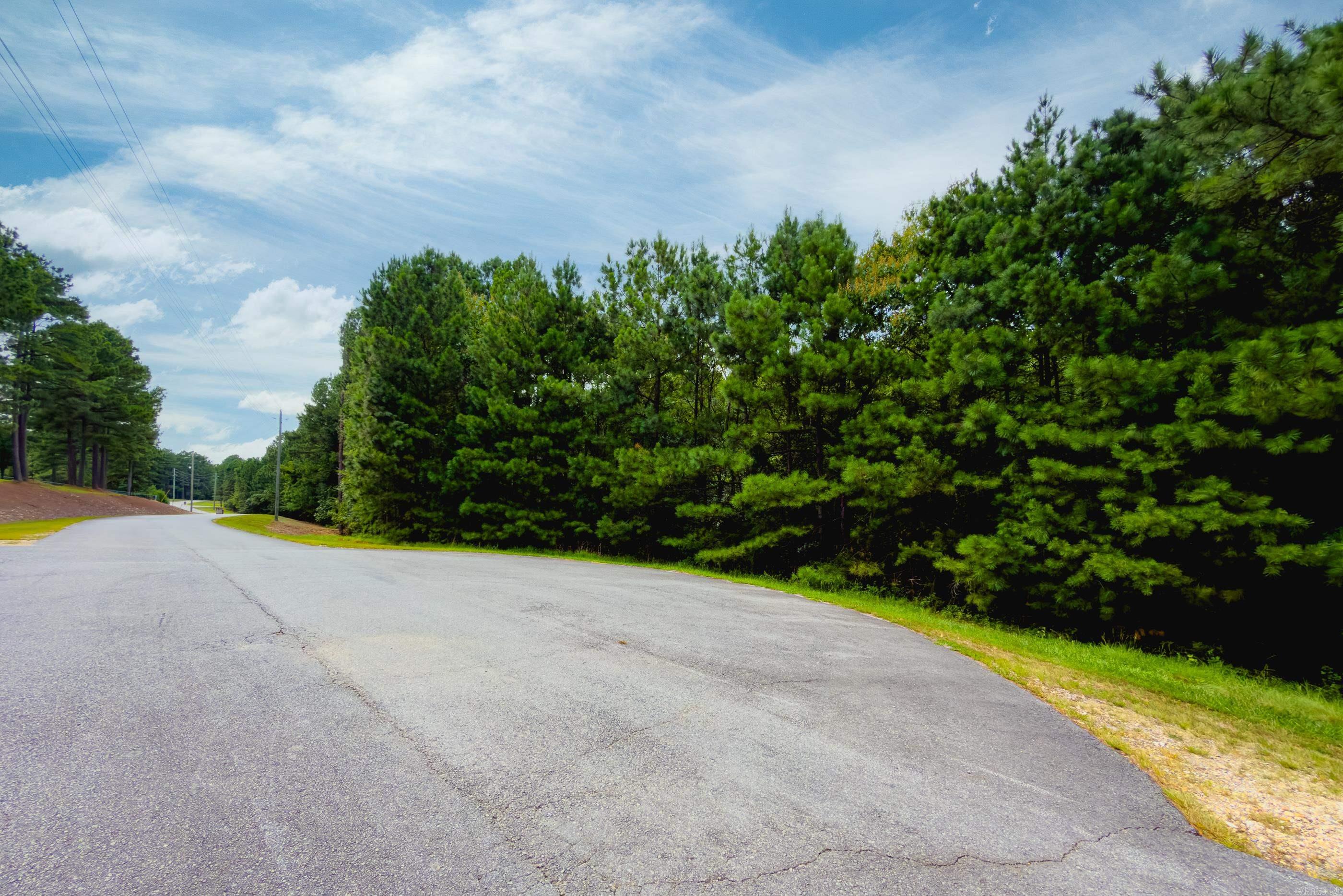 Lot 3 Dawson Springs Property Photo 26