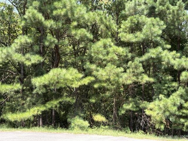 Lot 3 Dawson Springs Property Photo 27