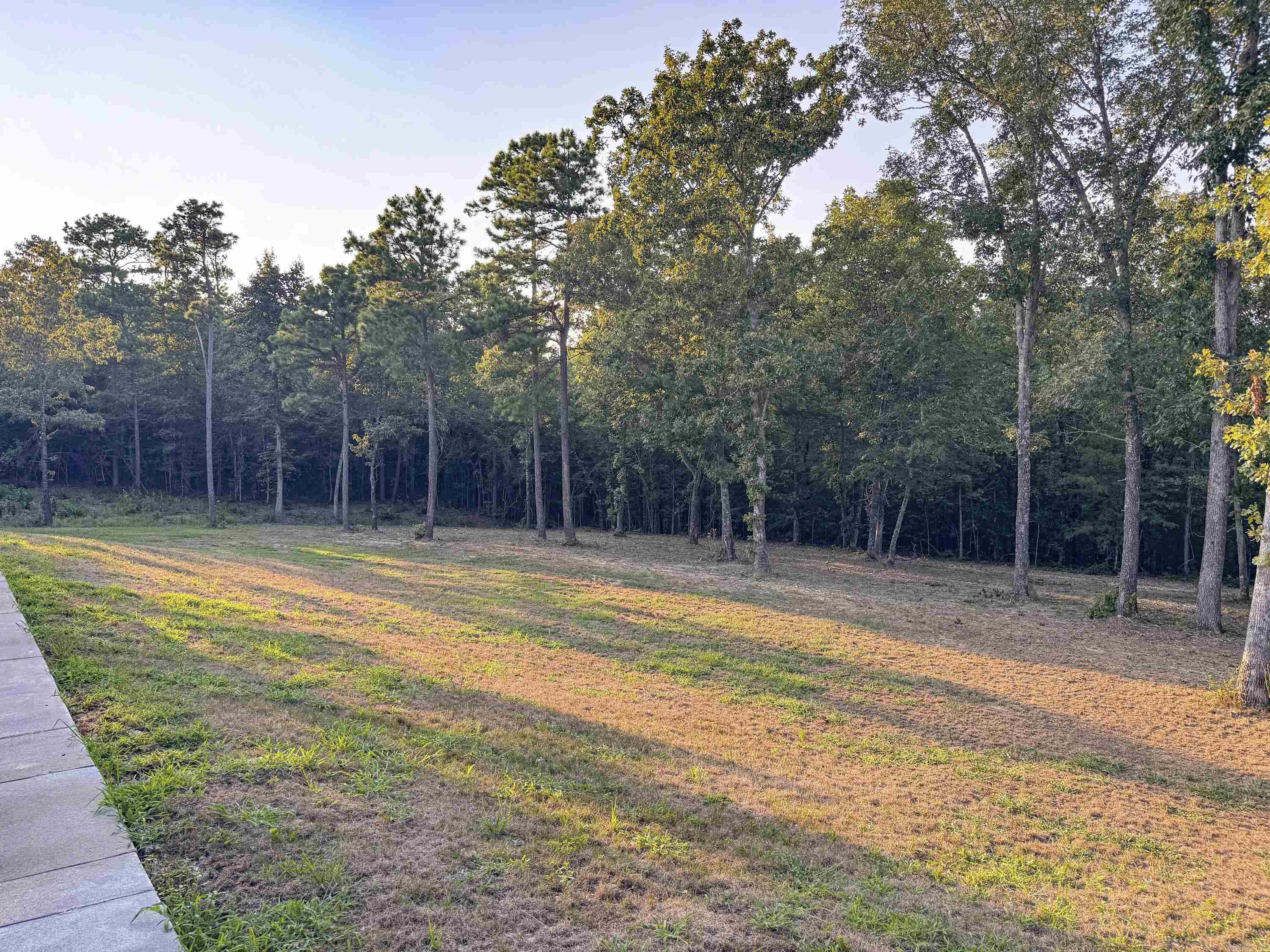 607 Odom Point Road Property Photo 36