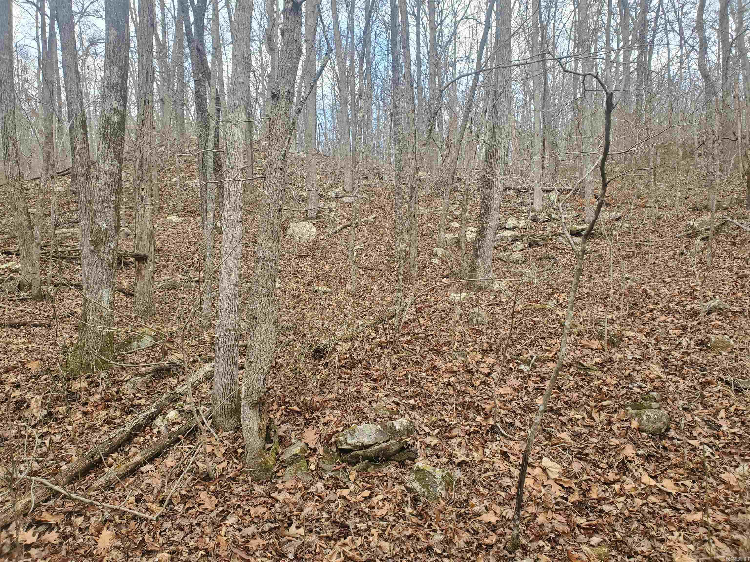 2340 Shady Grove Road Property Photo 7